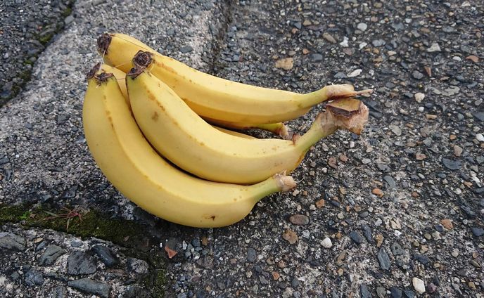 Alles hat ein Ende, nur die Banana hat zwei.