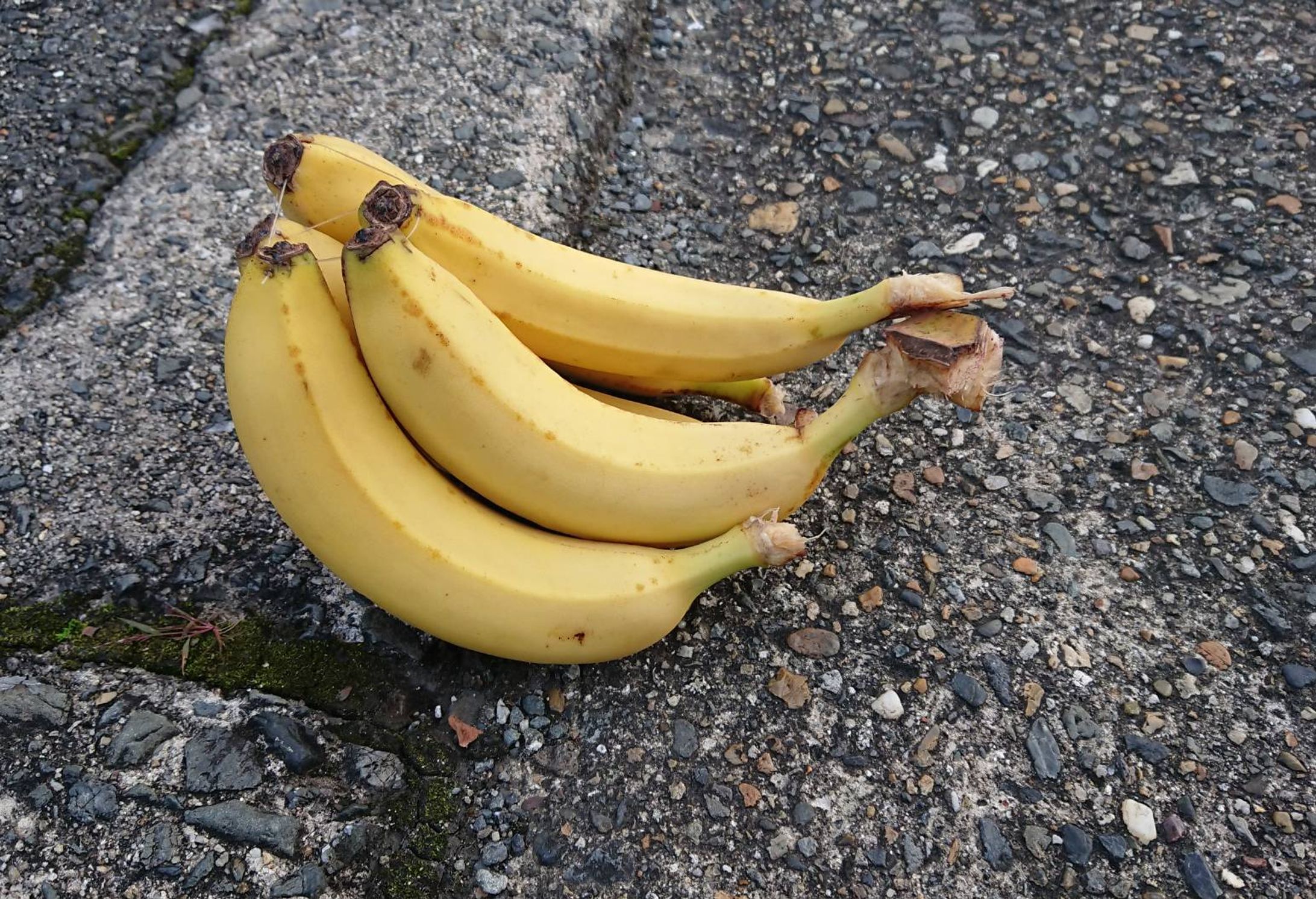 Alles hat ein Ende, nur die Banana hat zwei.-1