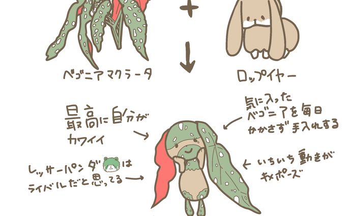 動物系、設定画