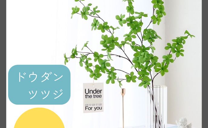 （ご依頼）ECサイト　商品画像加工