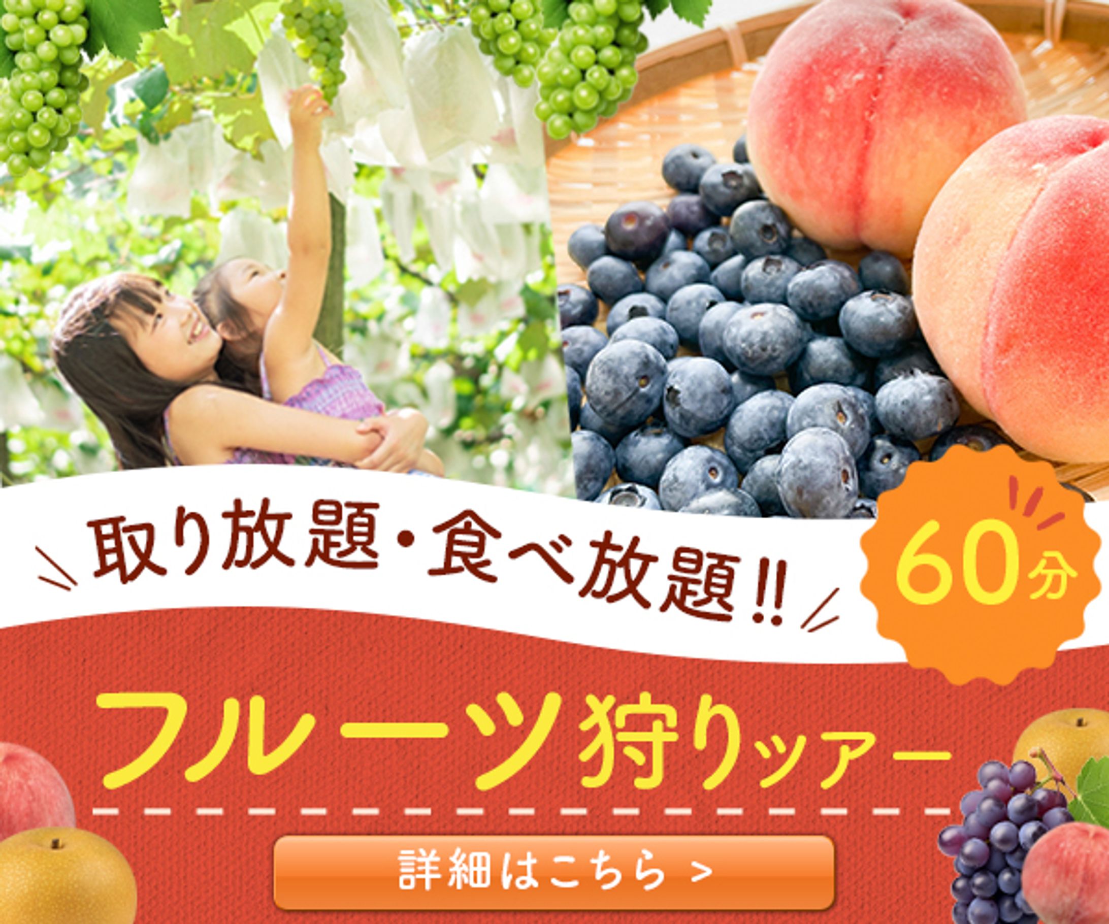 バナー：フルーツ狩りツアー-1