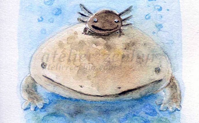 サンショウウオイベント用に制作した原画