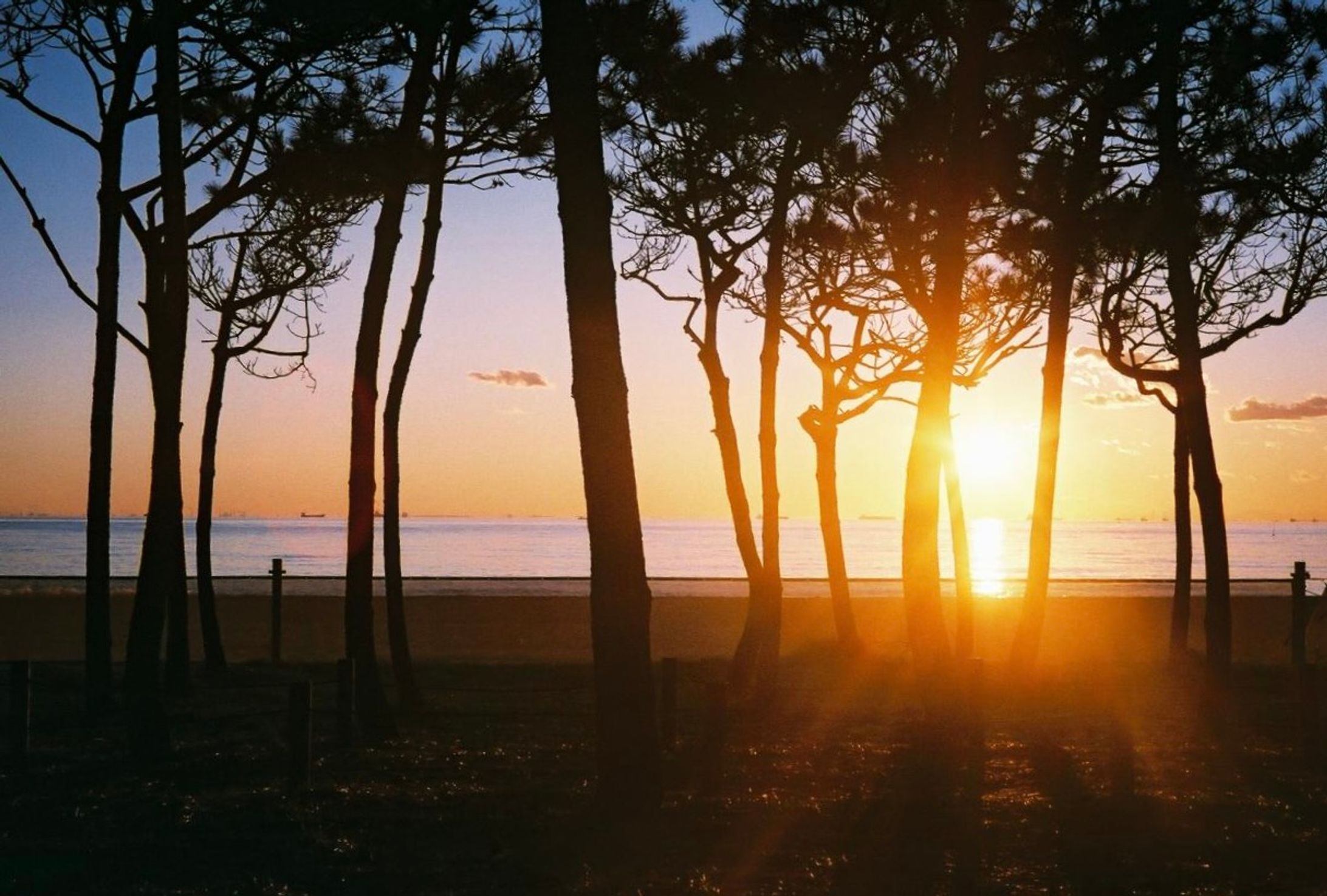 【写真】夕陽-1