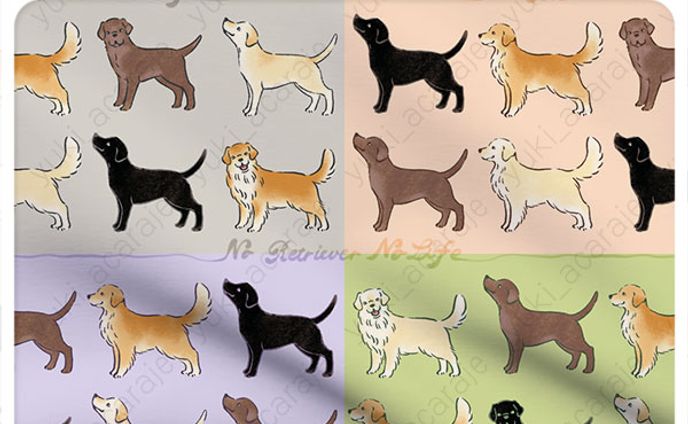 No Retriever No Life