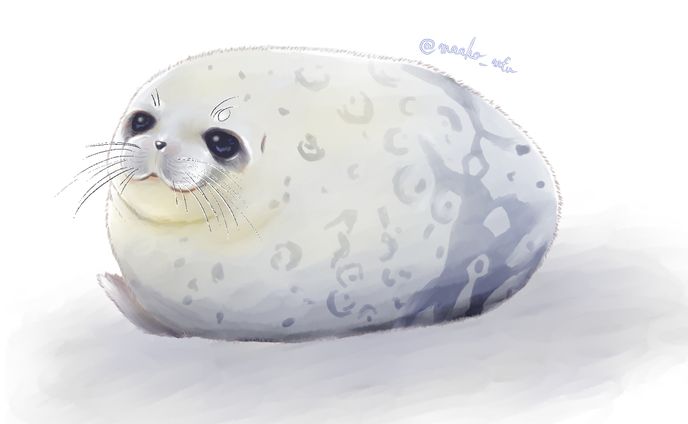 ワモンアザラシ