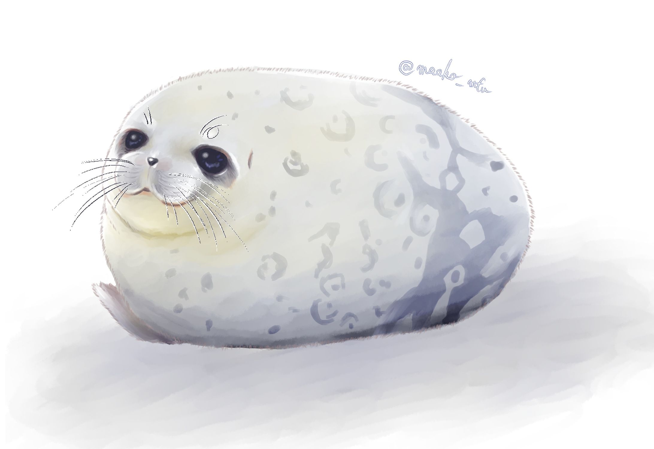 ワモンアザラシ-1