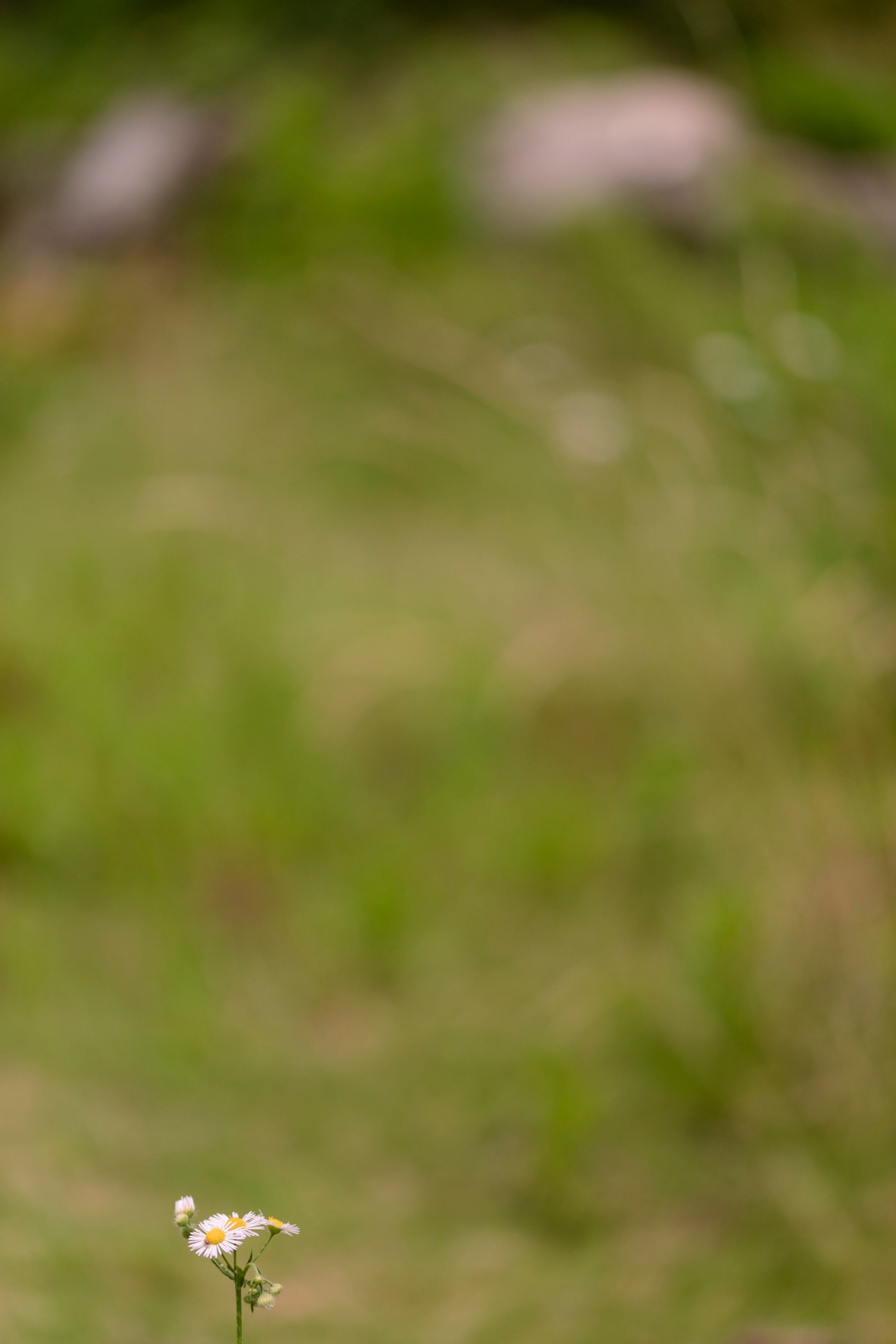 notitle_class work-1