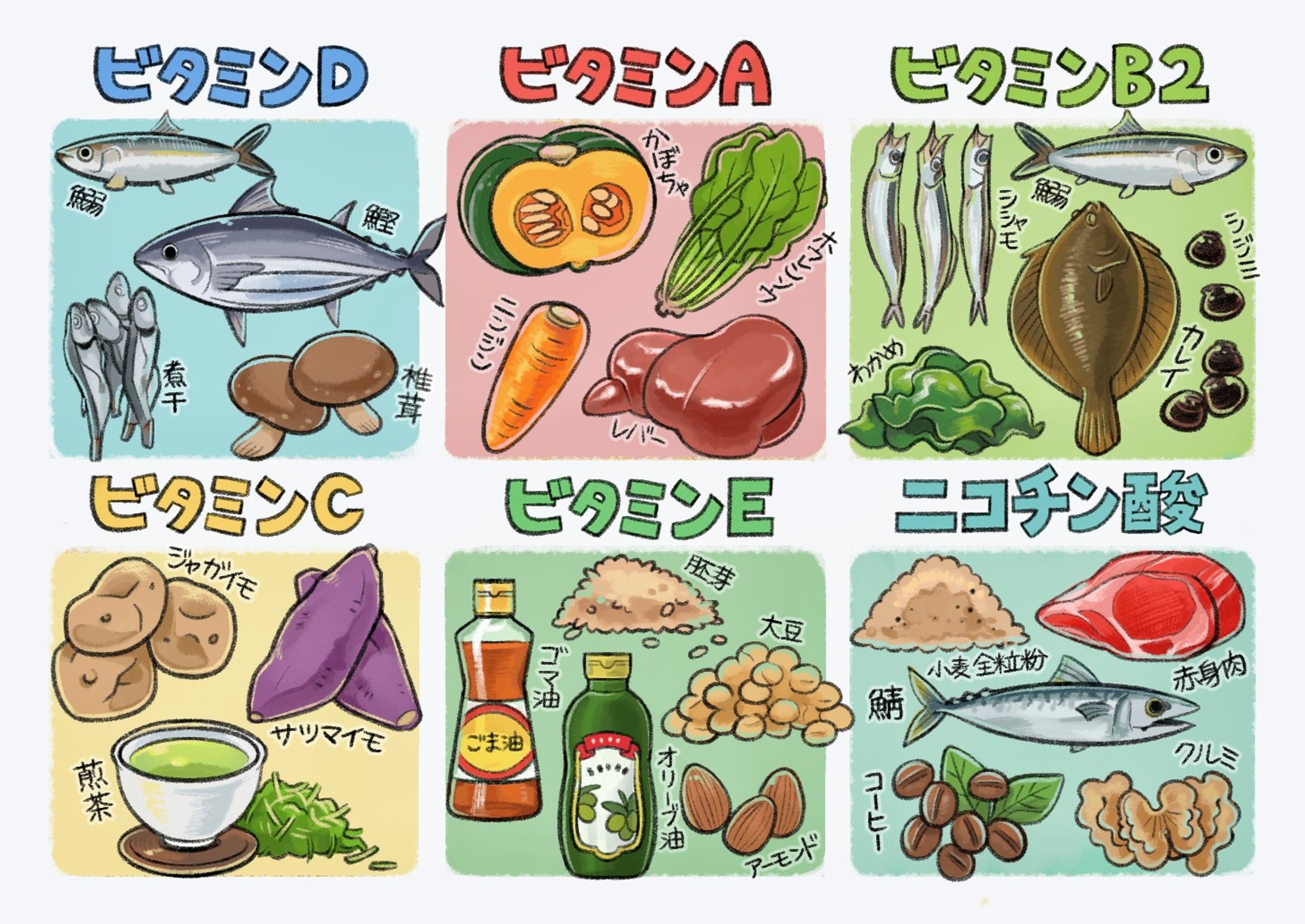 【カットイラスト】栄養素一覧-1