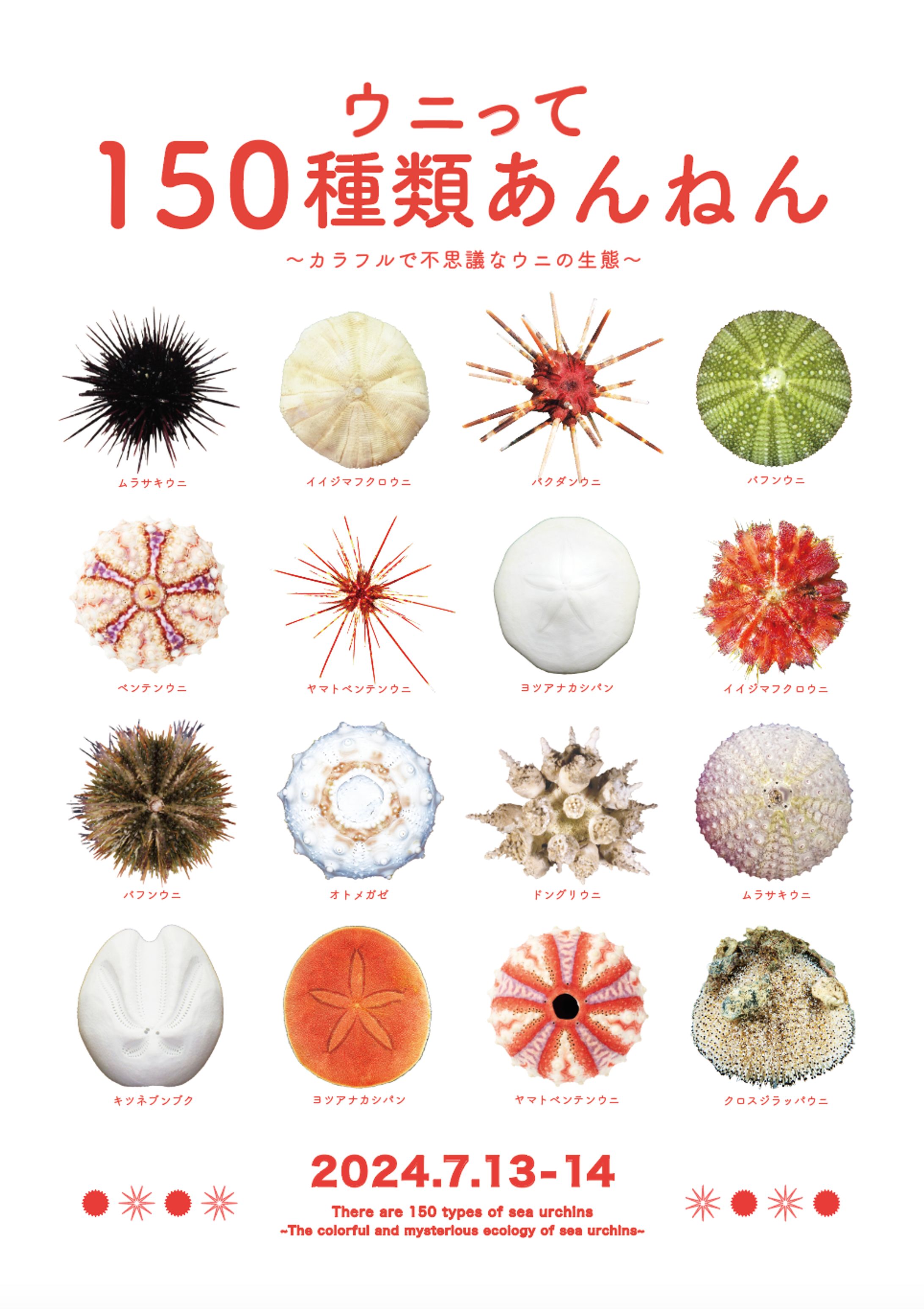 展示　ウニって150種類あんねん-1