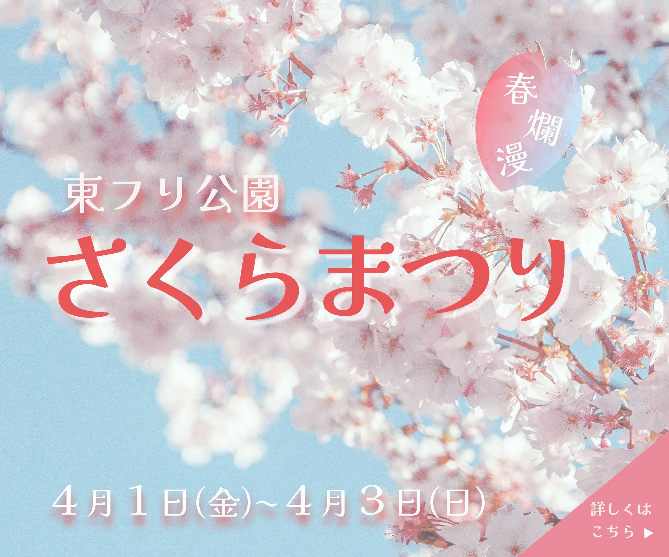さくらまつりバナー-1