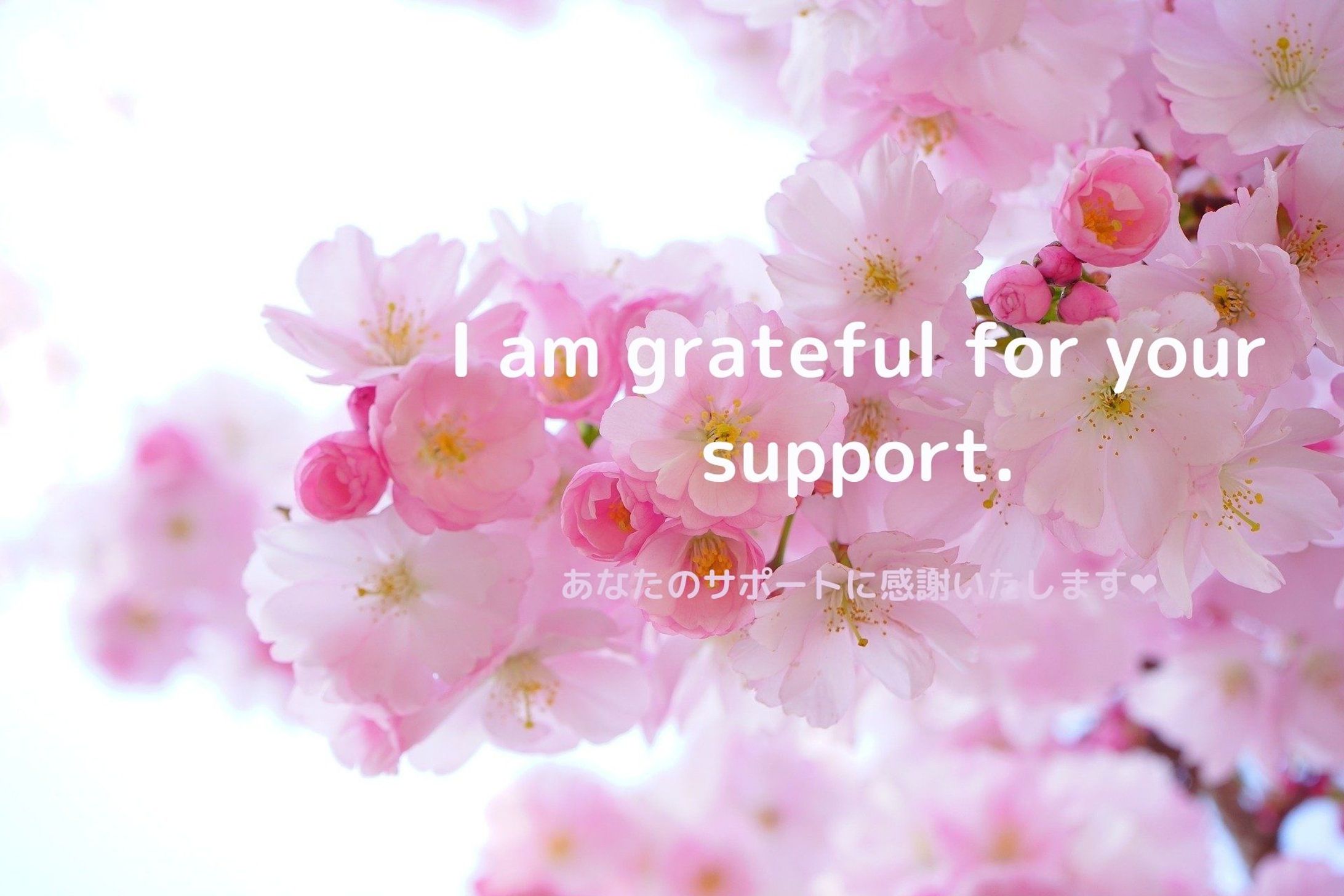 桜の花で【thank-you card】-1