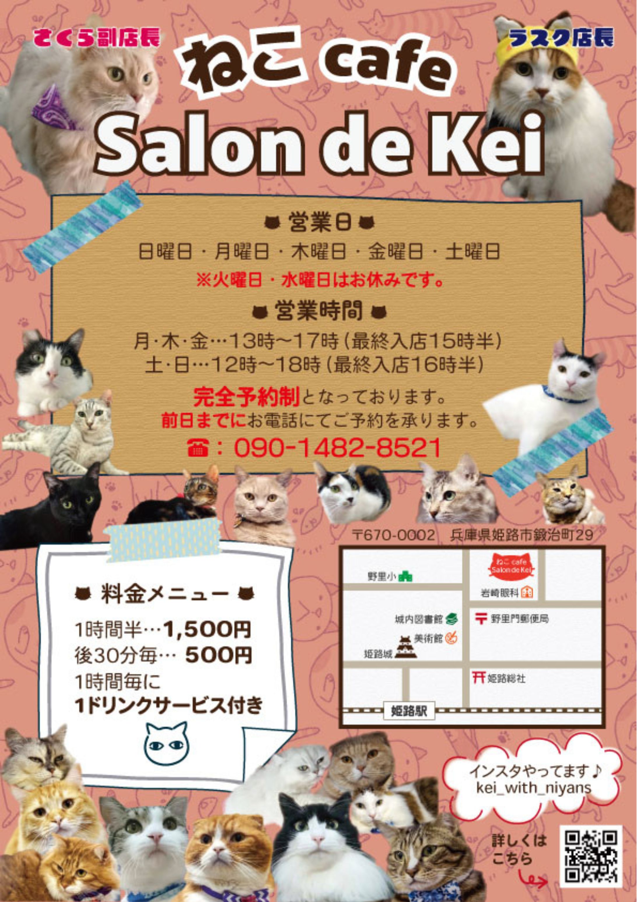 チラシ｜ねこカフェ-1