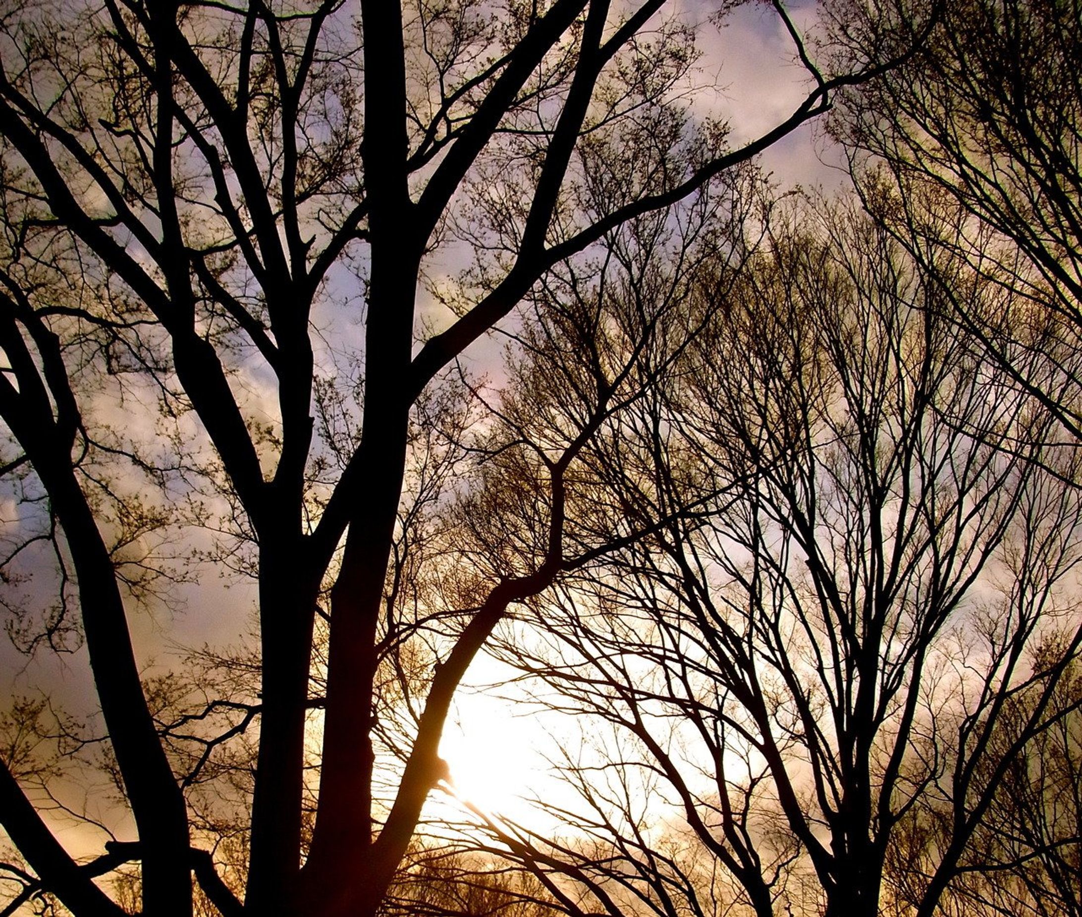 写真Ⅳ-1