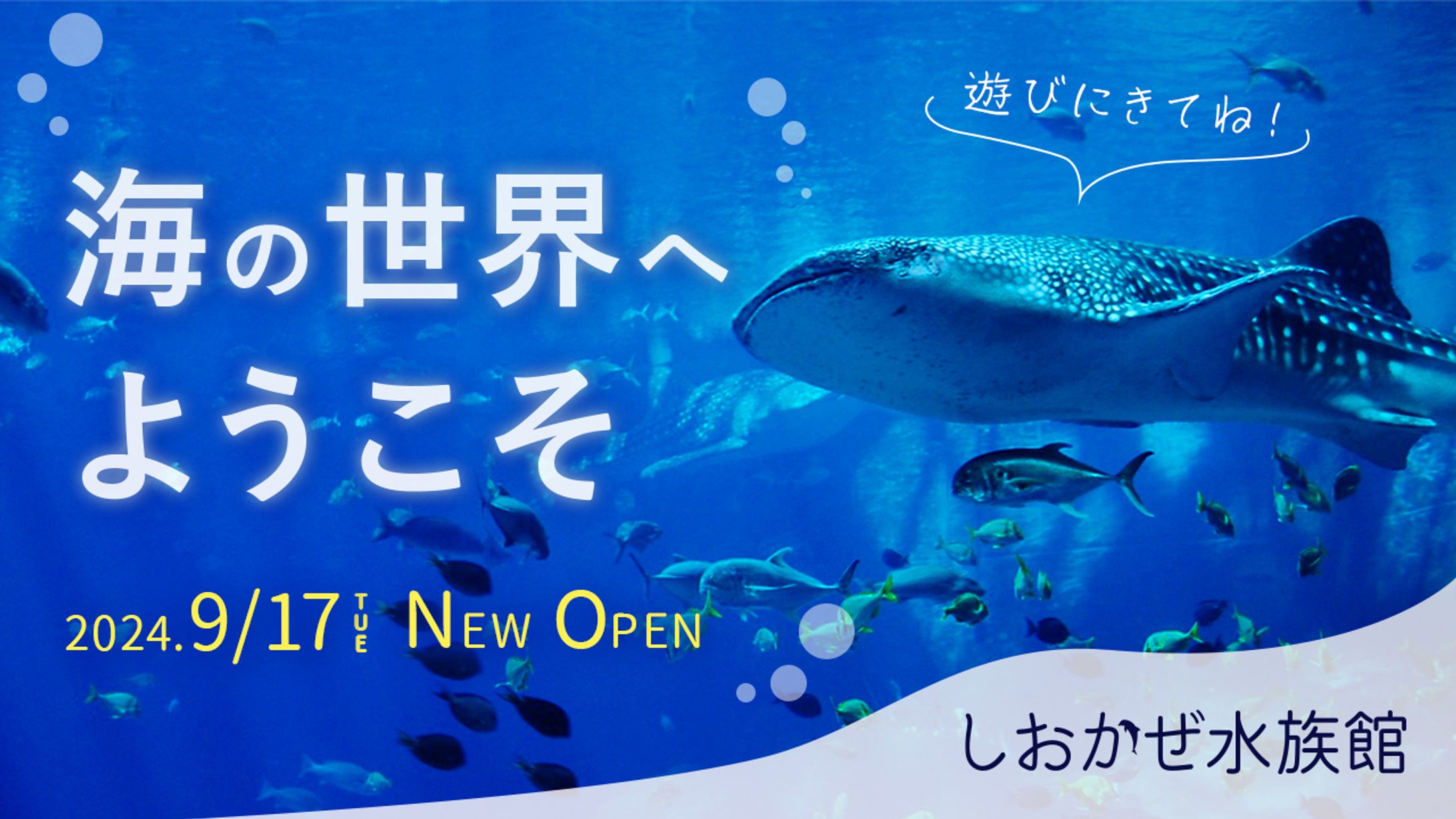 架空水族館CMサムネイル（自主制作）-1
