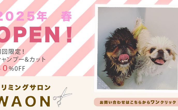 トリミングサロン　バナー