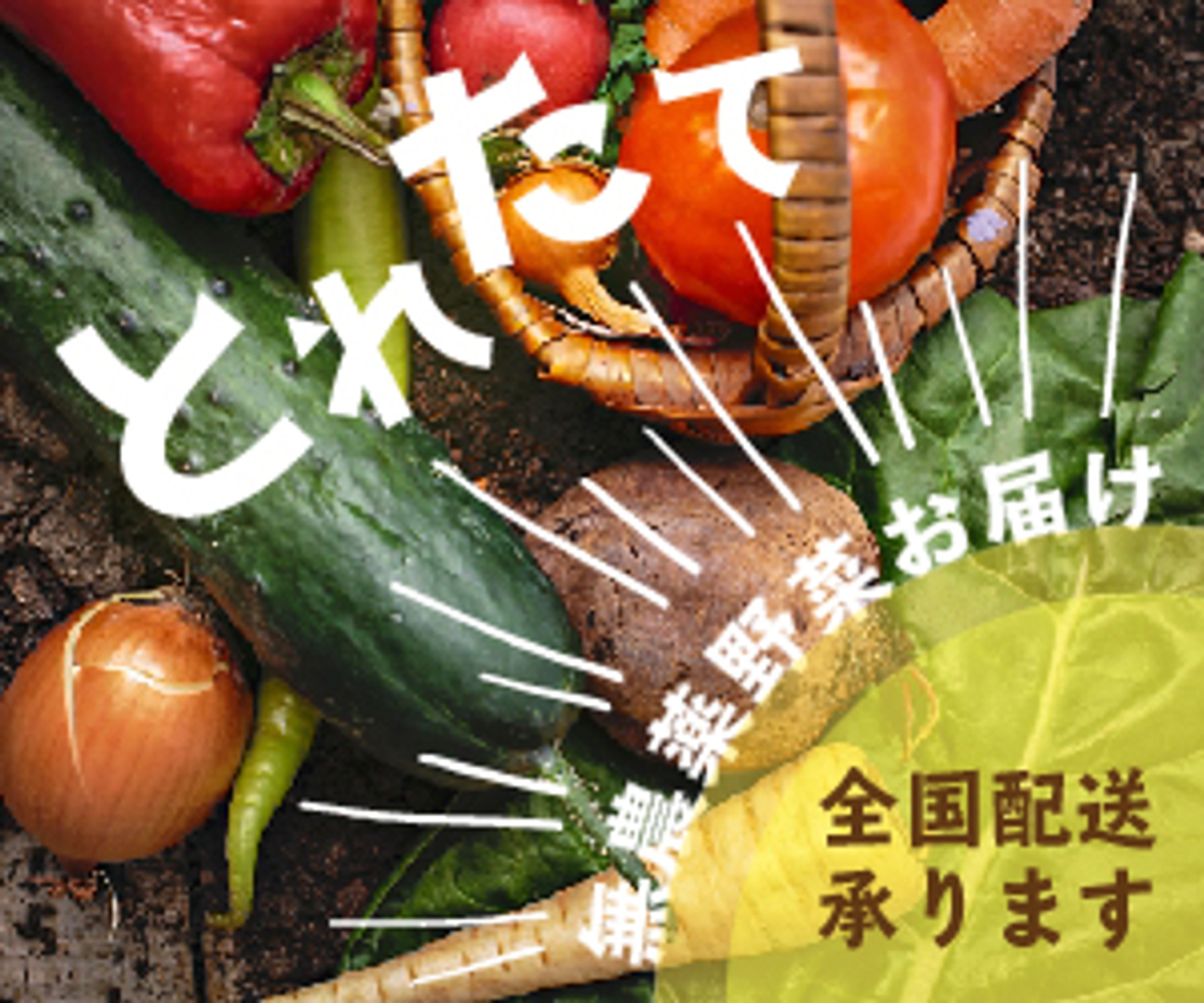 【練習用バナー】-1
