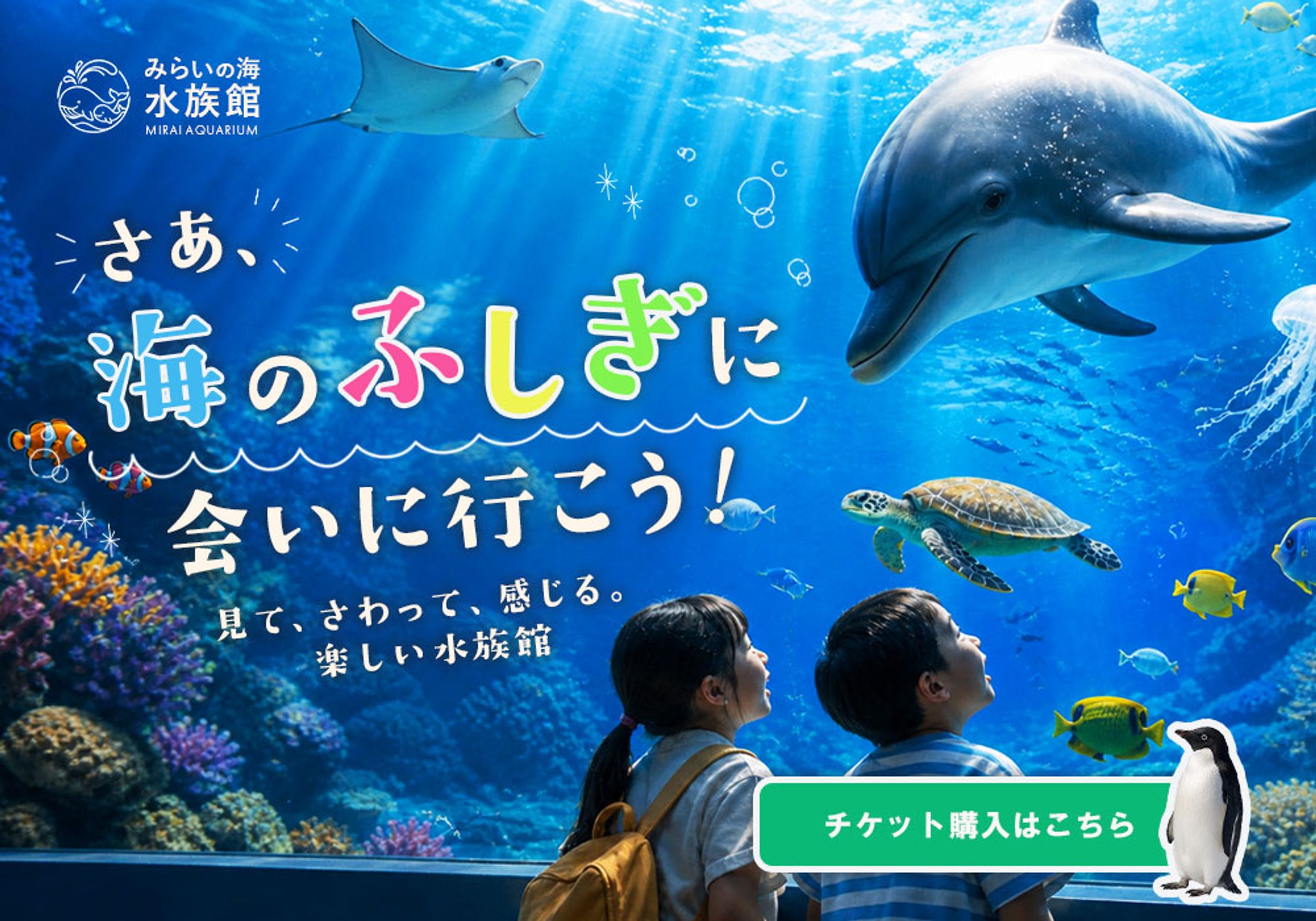 LP：水族館LPのFV-1