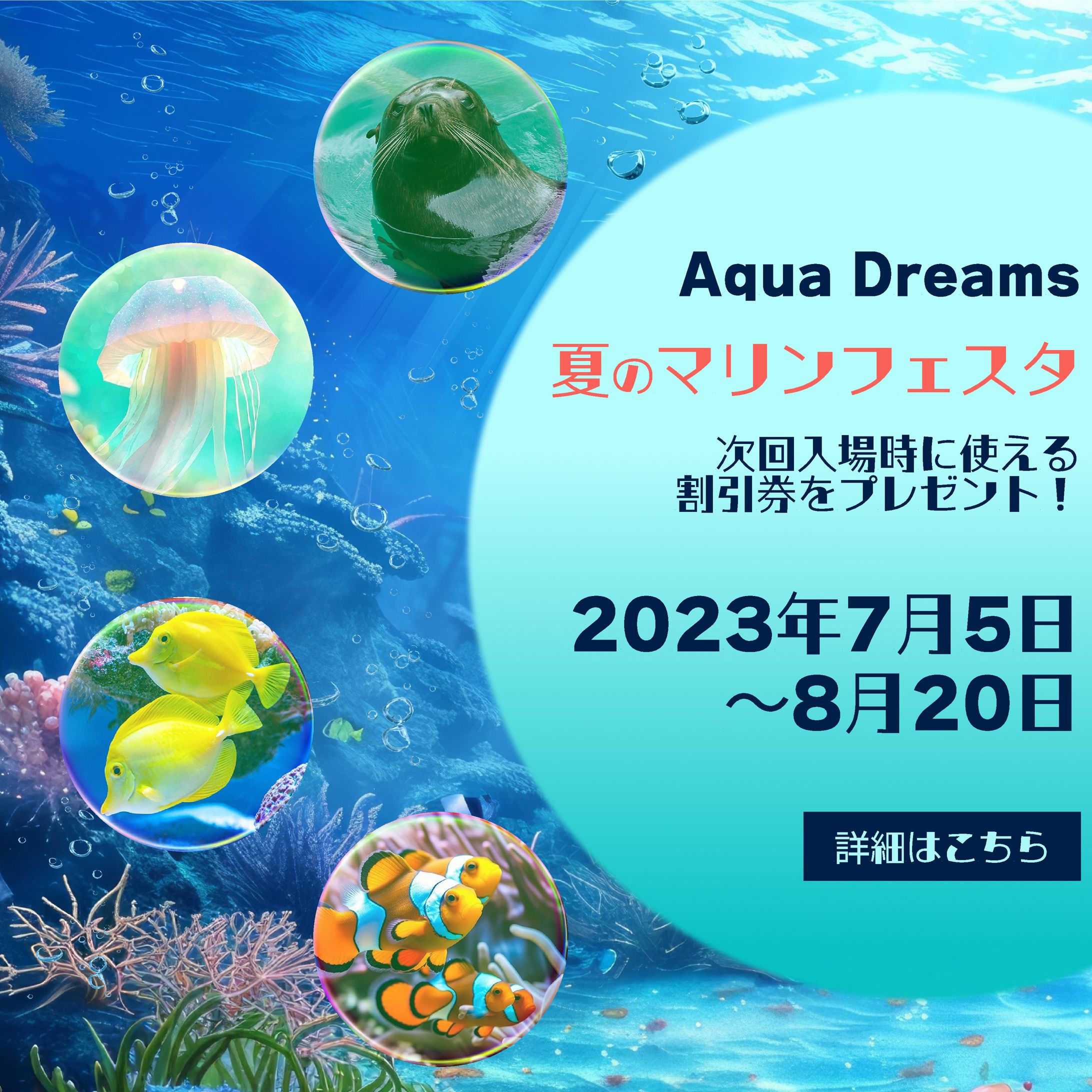 水族館　バナー-1