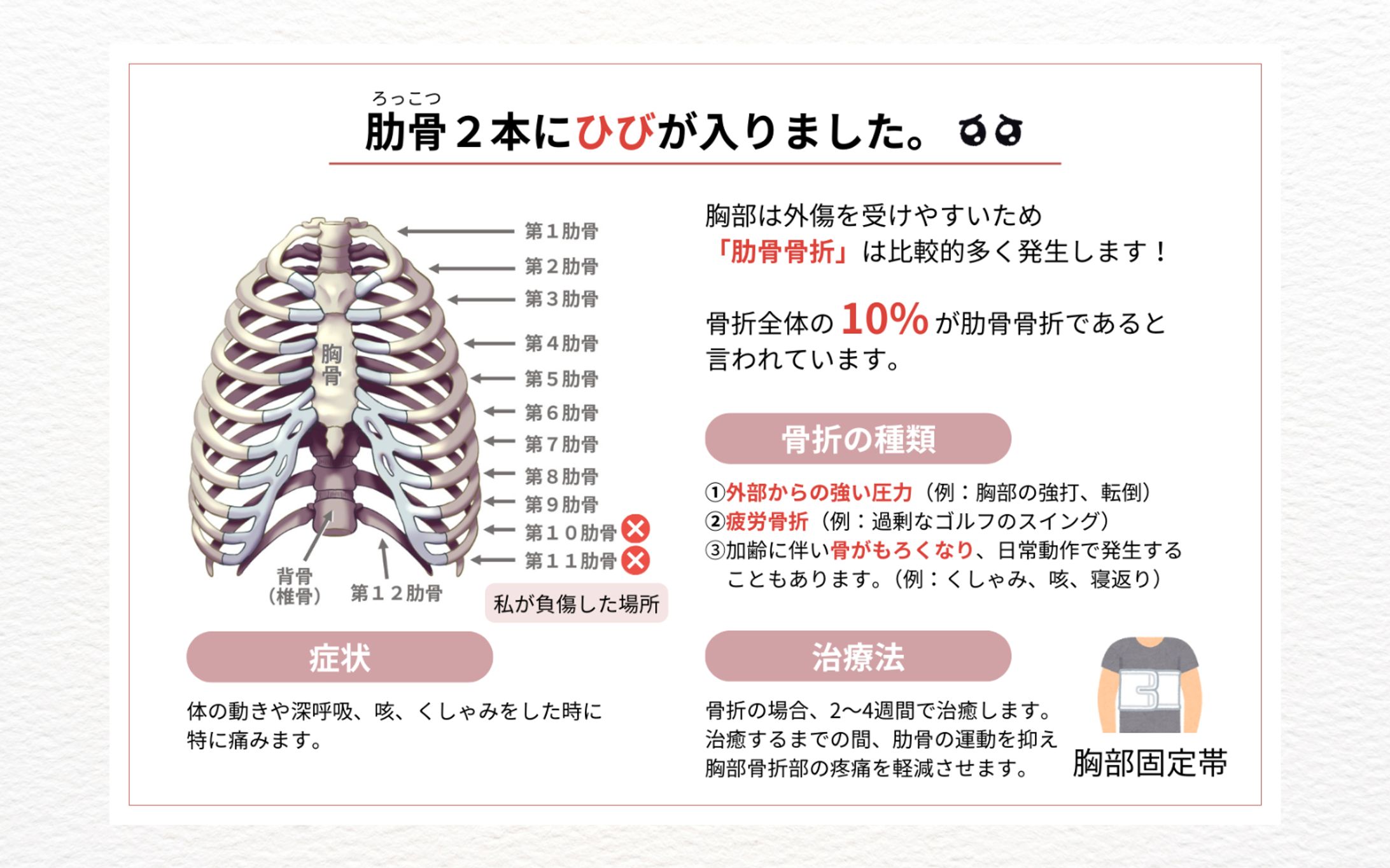 Amazon.co.jp: 骨の博物館3 恐竜の骨 (骨の博物館 3) : 遠藤