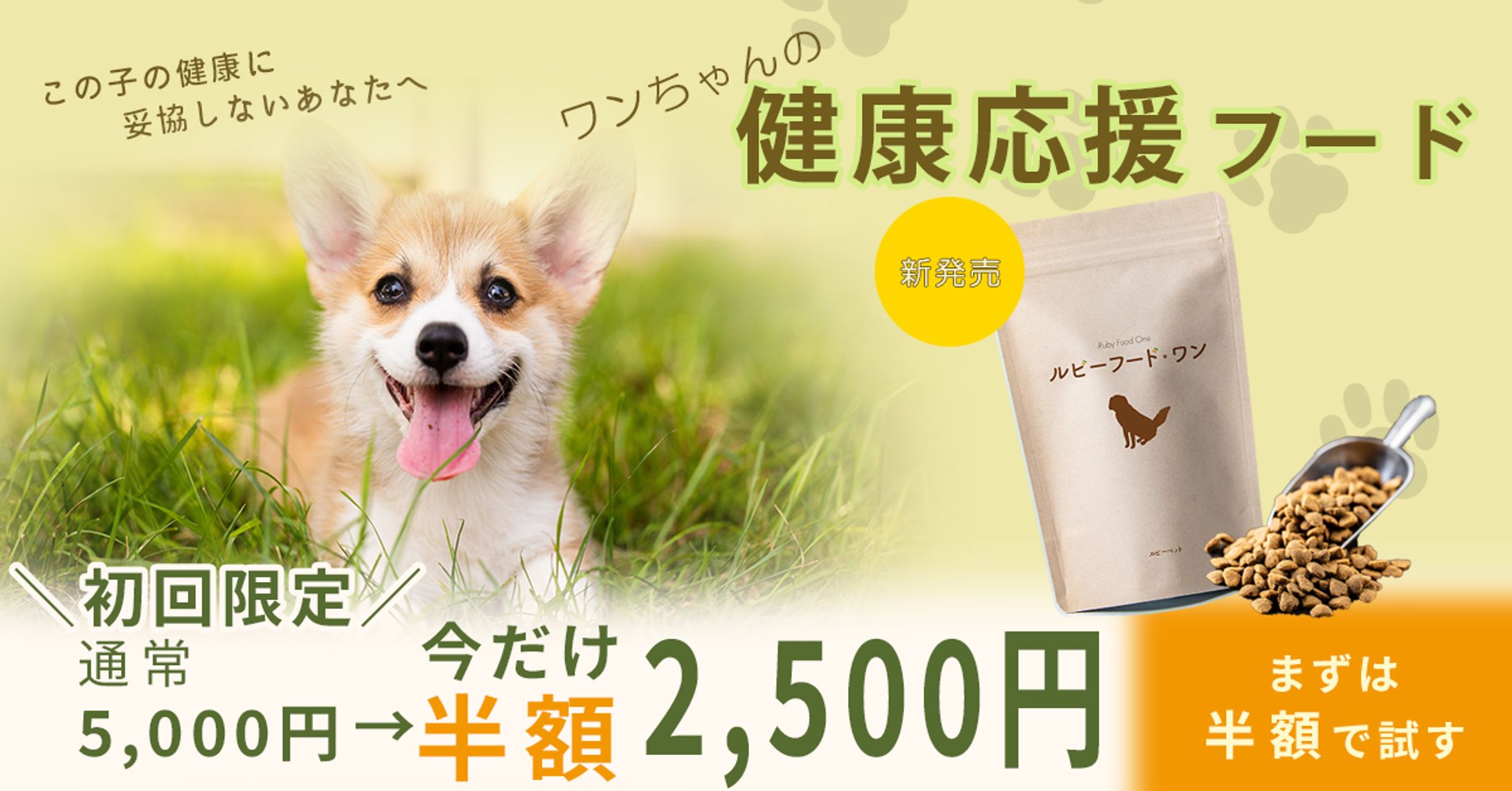 【任意課題】ペットフードのバナー-1