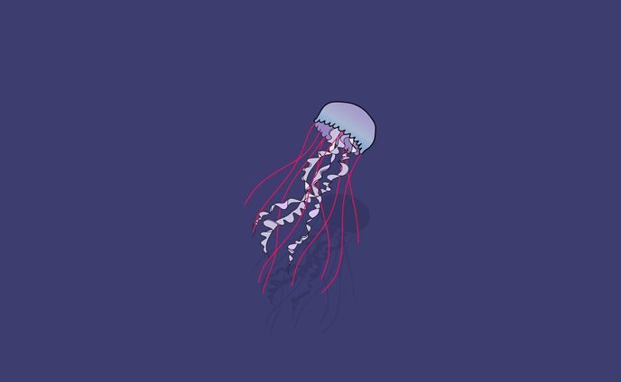 ヤナギクラゲ