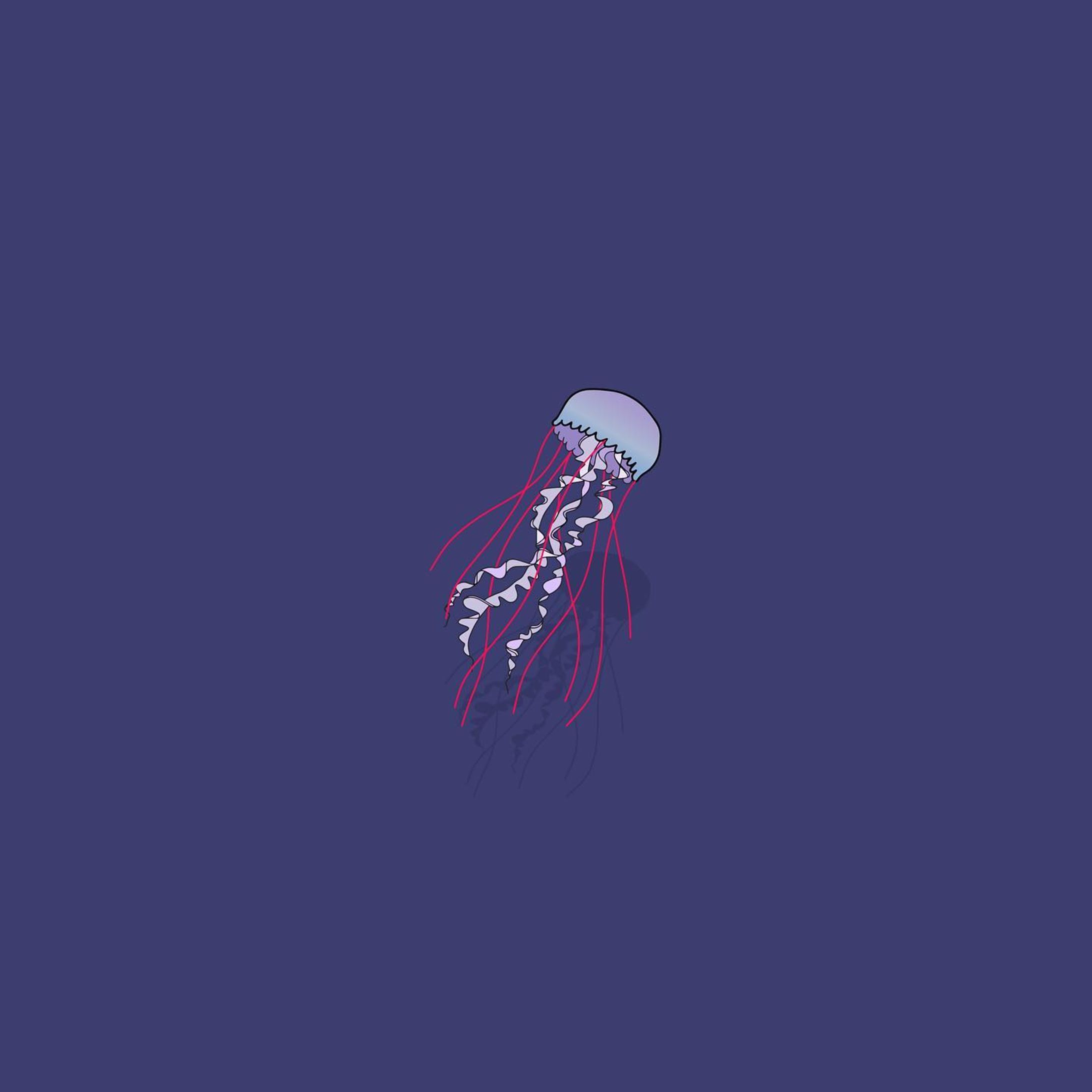 ヤナギクラゲ-1