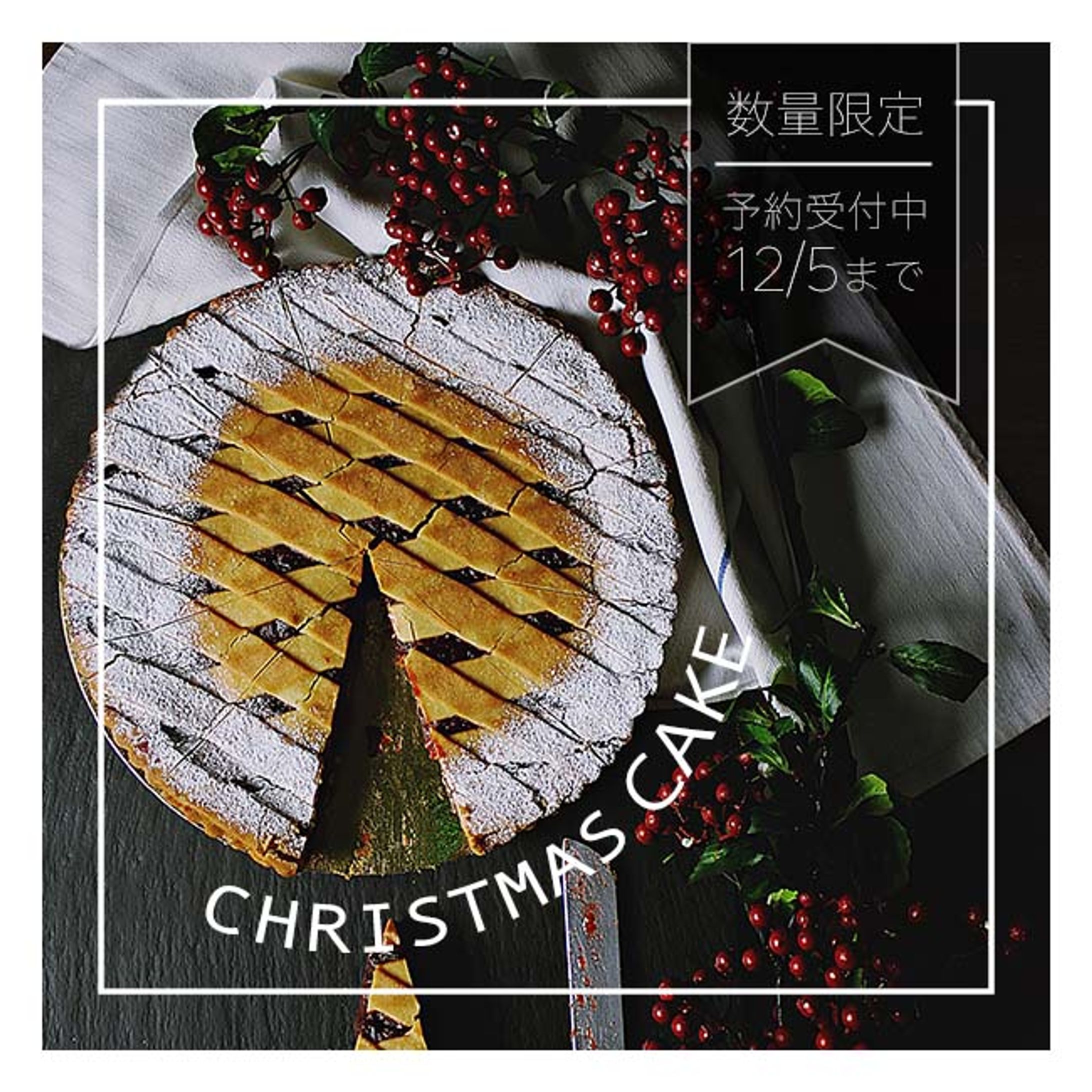 Christmas cake_banner_sample-1