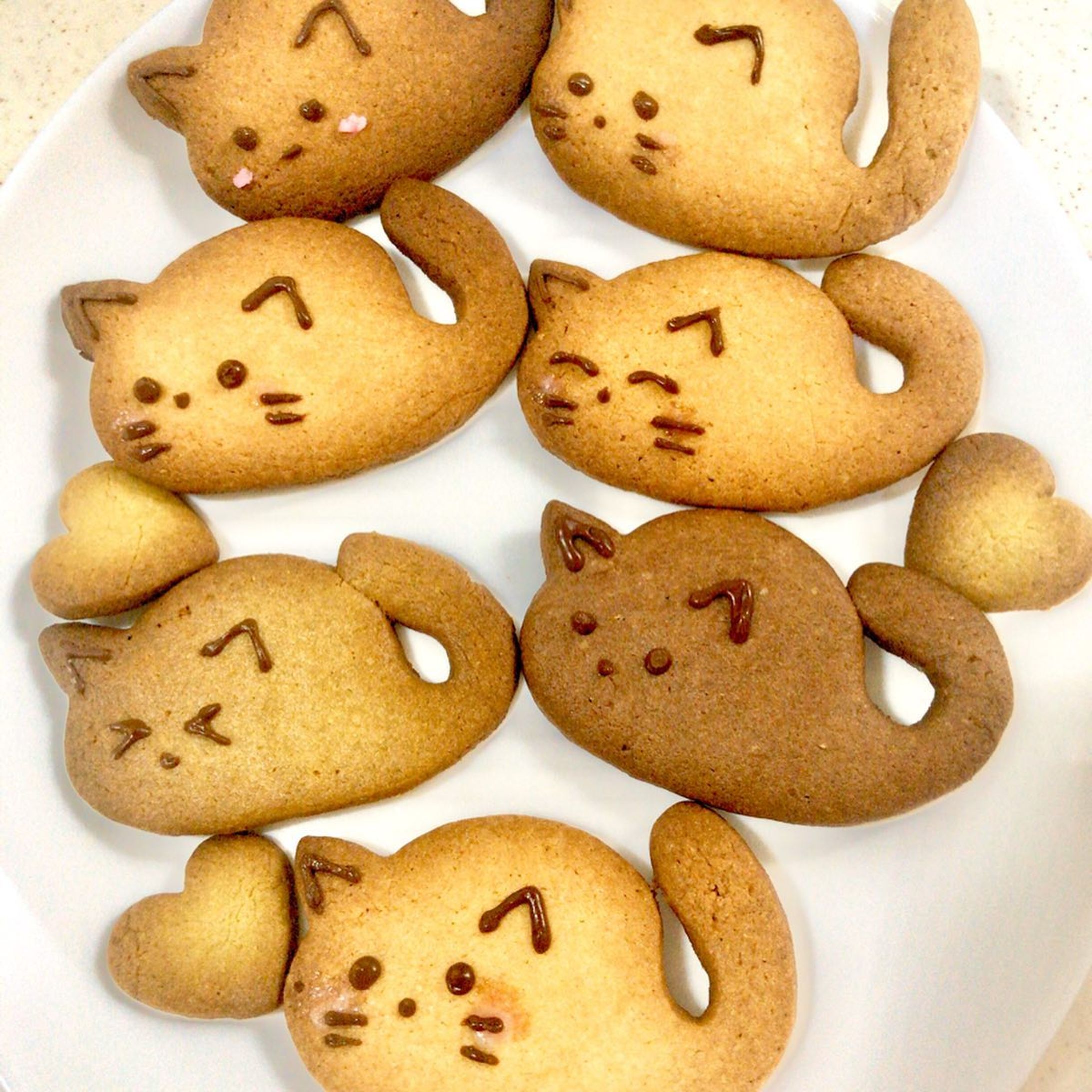 もちねこクッキー作りました🐱🍪
#もちねこのミルク
#商品化希望 #商品化したい-1