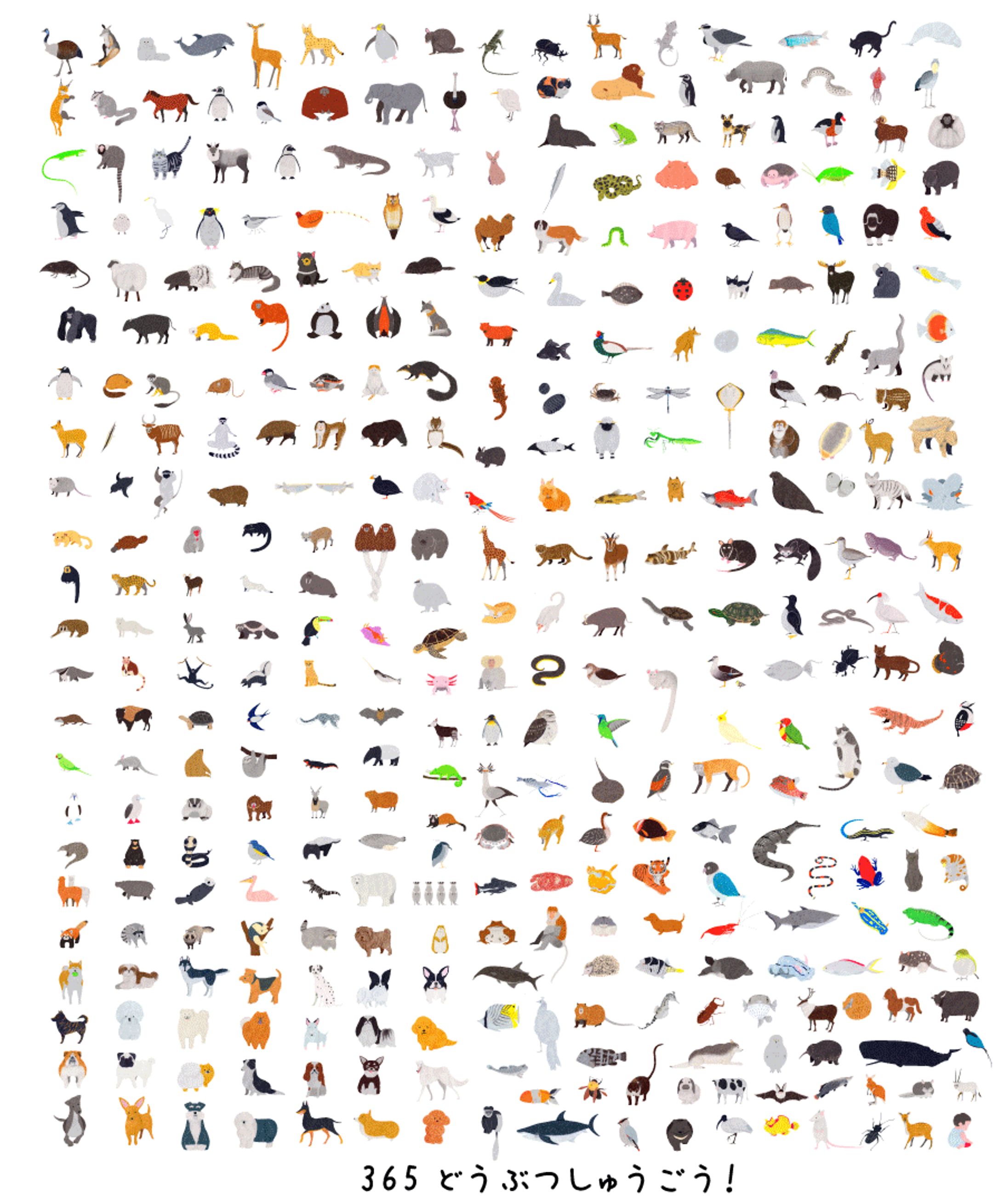 365どうぶつずかん-1