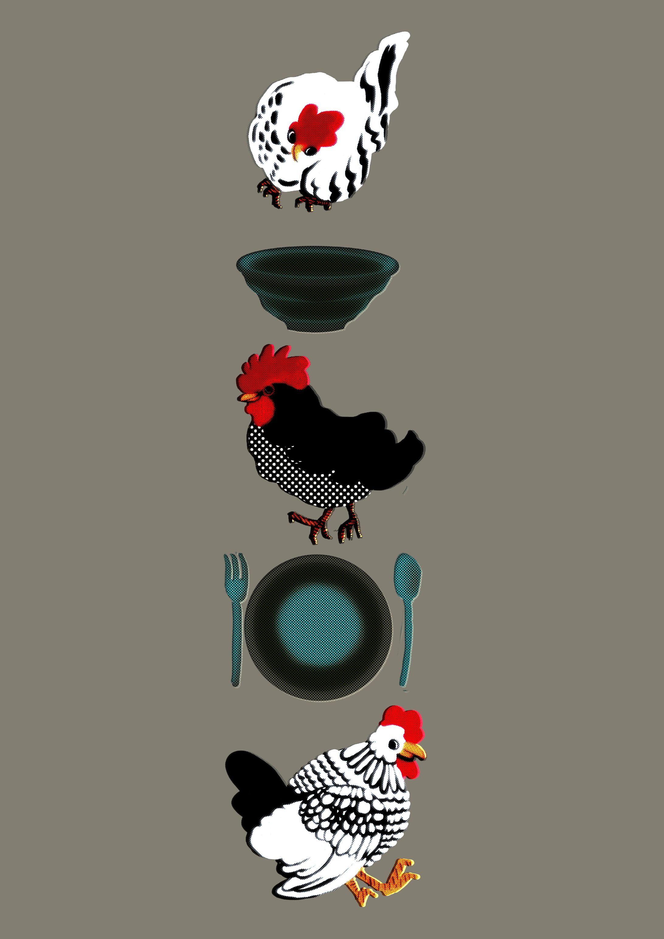 birds-1