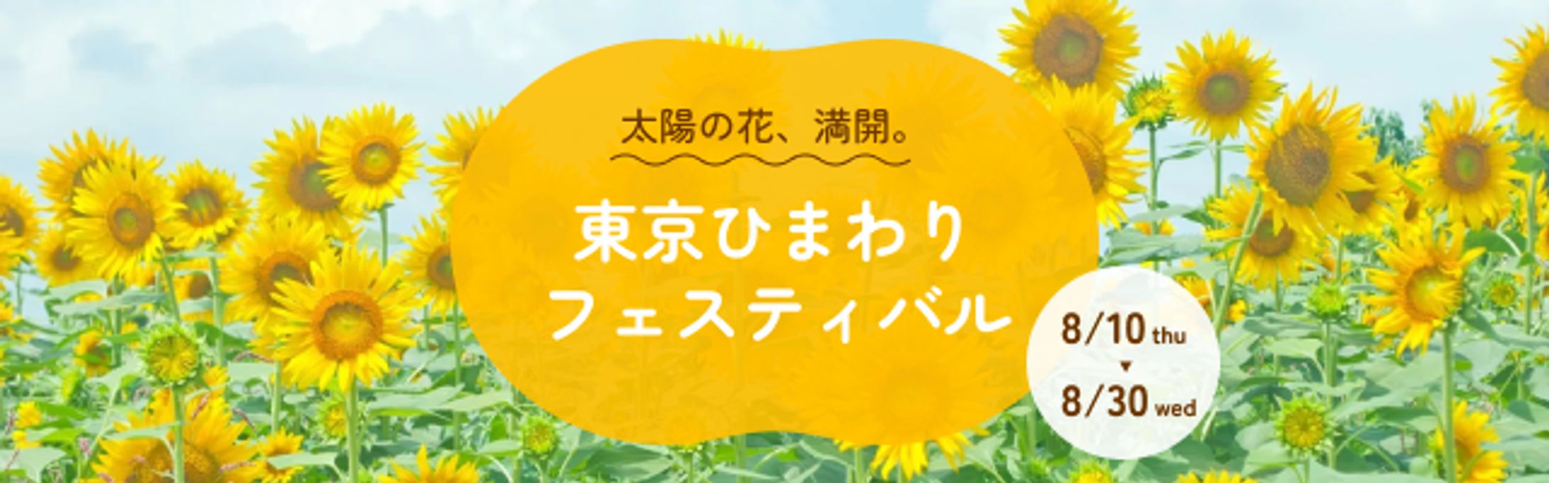 東京ひまわりフェスティバル-1