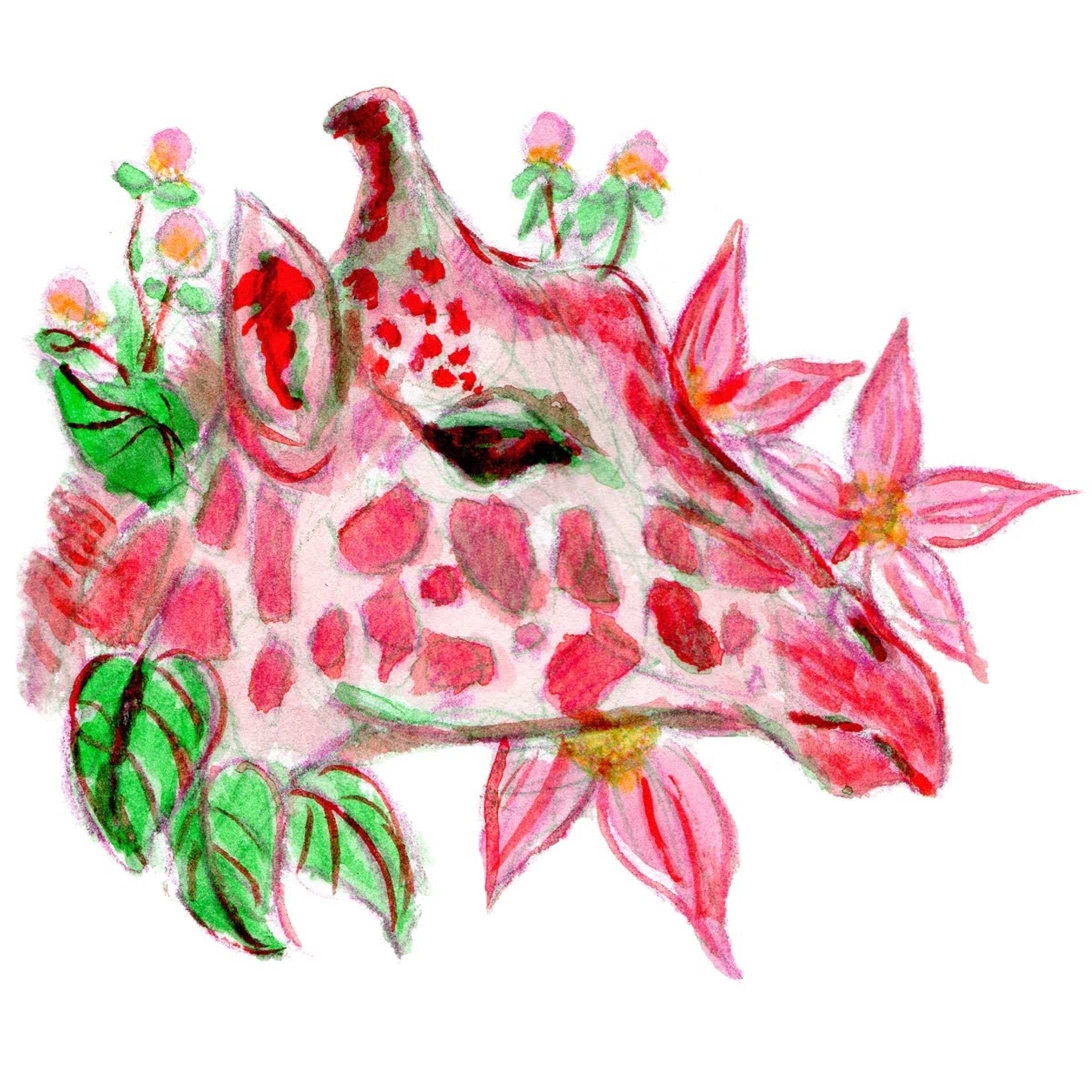 ボタニカル×サファリ-1