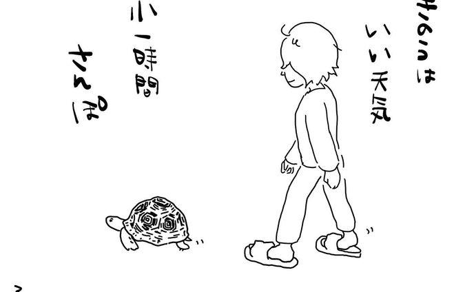 暖かい日が続きますね
今日はあいにくの天気です。

＃リクガメ
#ヒョウモンリクガメ
#散歩
#かめのいる暮らし
#かめすきさんと繋がりたい 
#イラスト