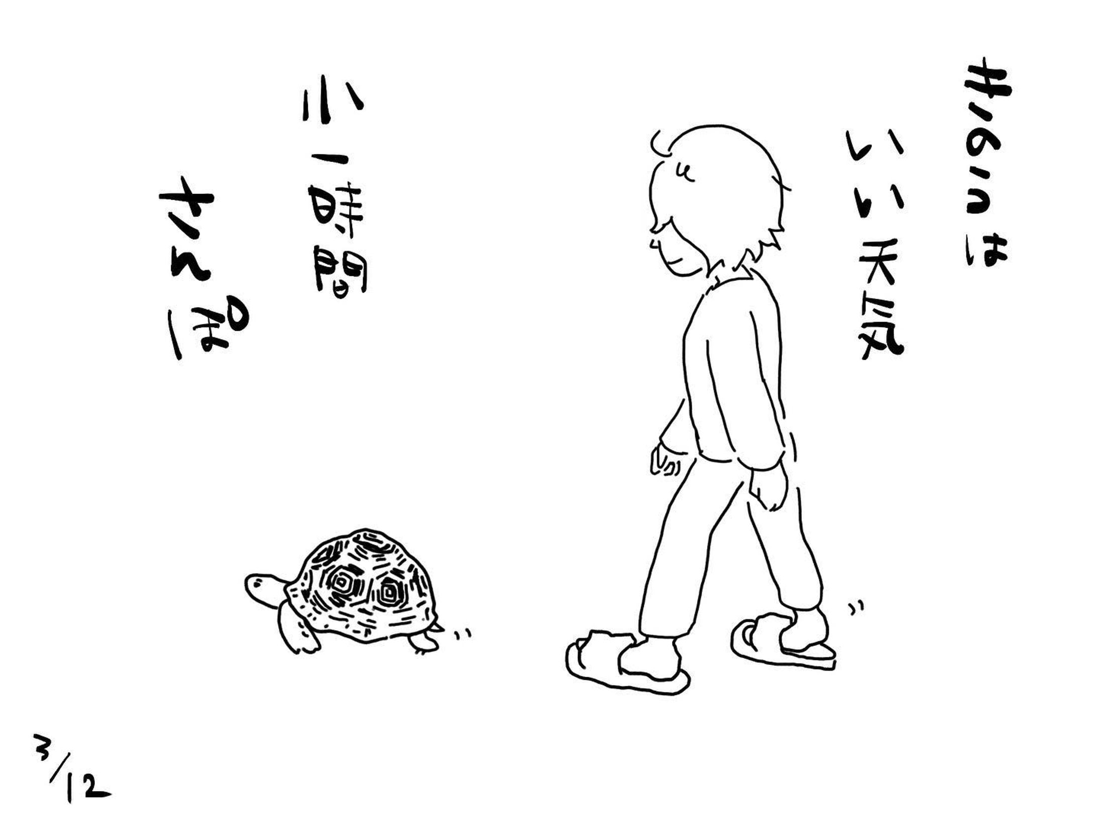 暖かい日が続きますね
今日はあいにくの天気です。

＃リクガメ
#ヒョウモンリクガメ
#散歩
#かめのいる暮らし
#かめすきさんと繋がりたい 
#イラスト-1