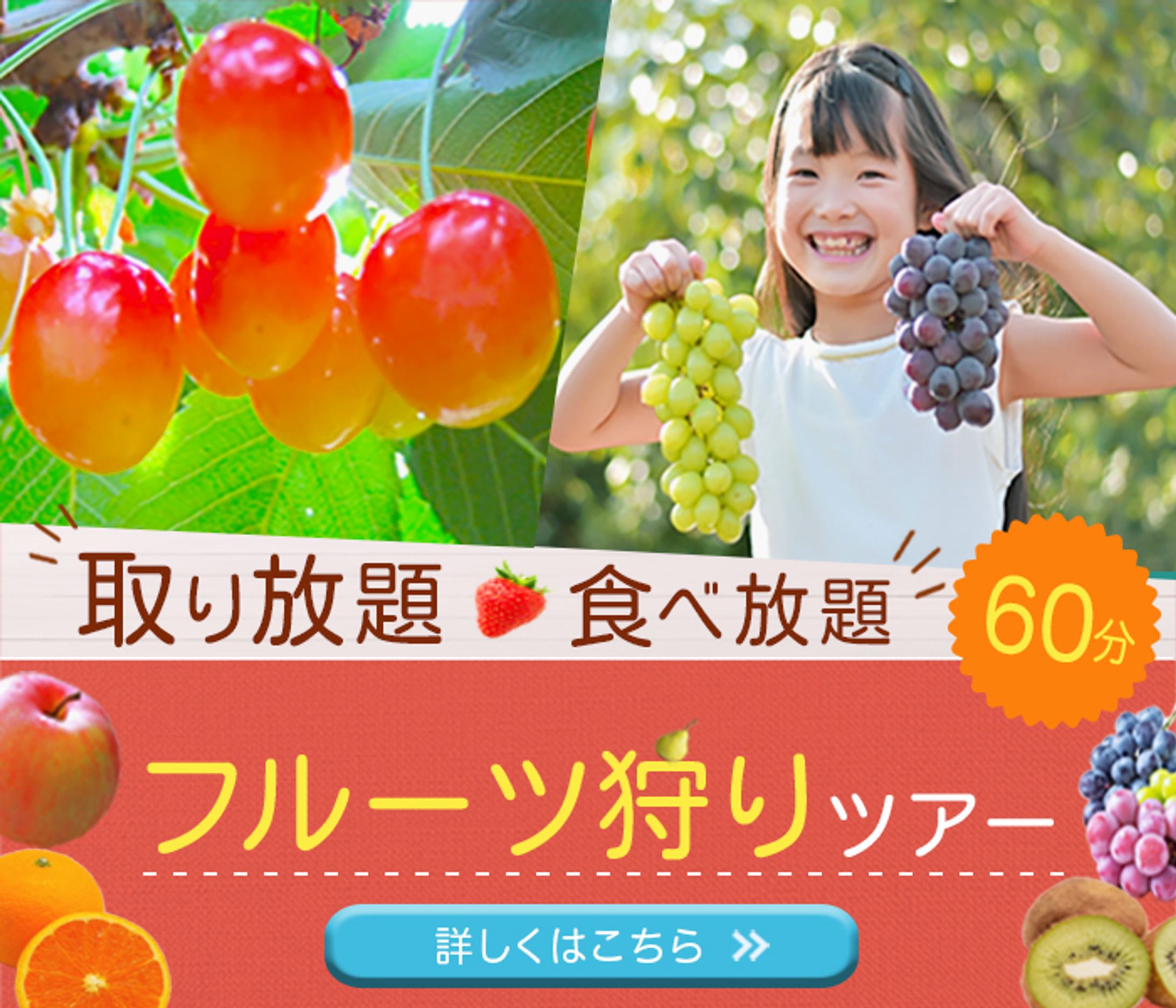 フルーツ狩り　広告バナー-1