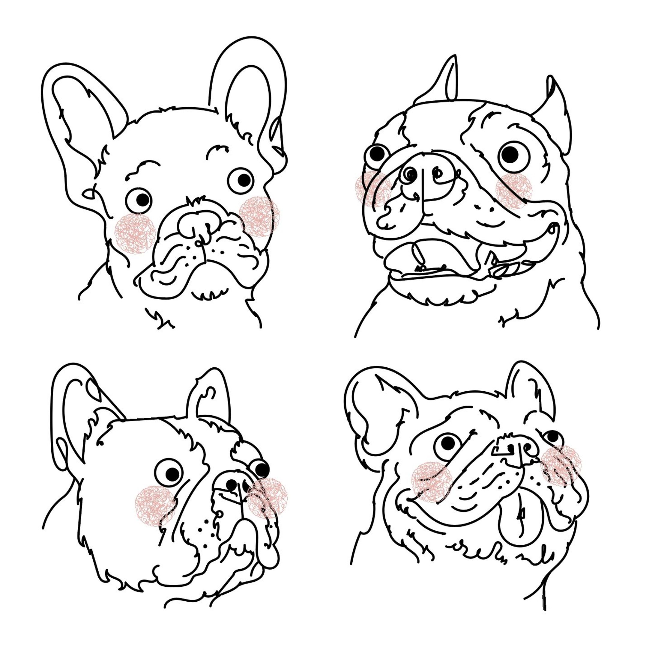 four expressive French bulldog faces-1