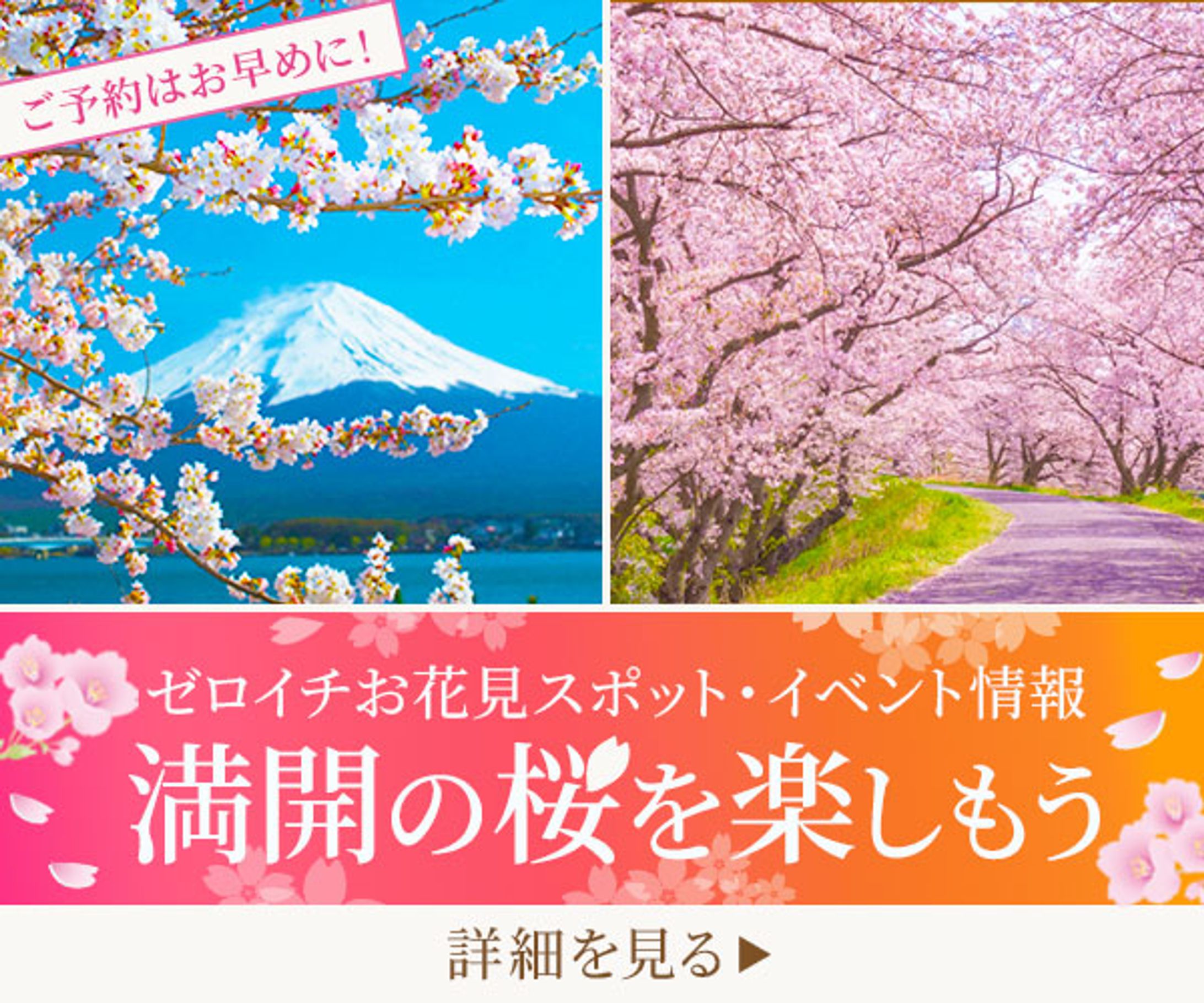 バナー：お花見-1