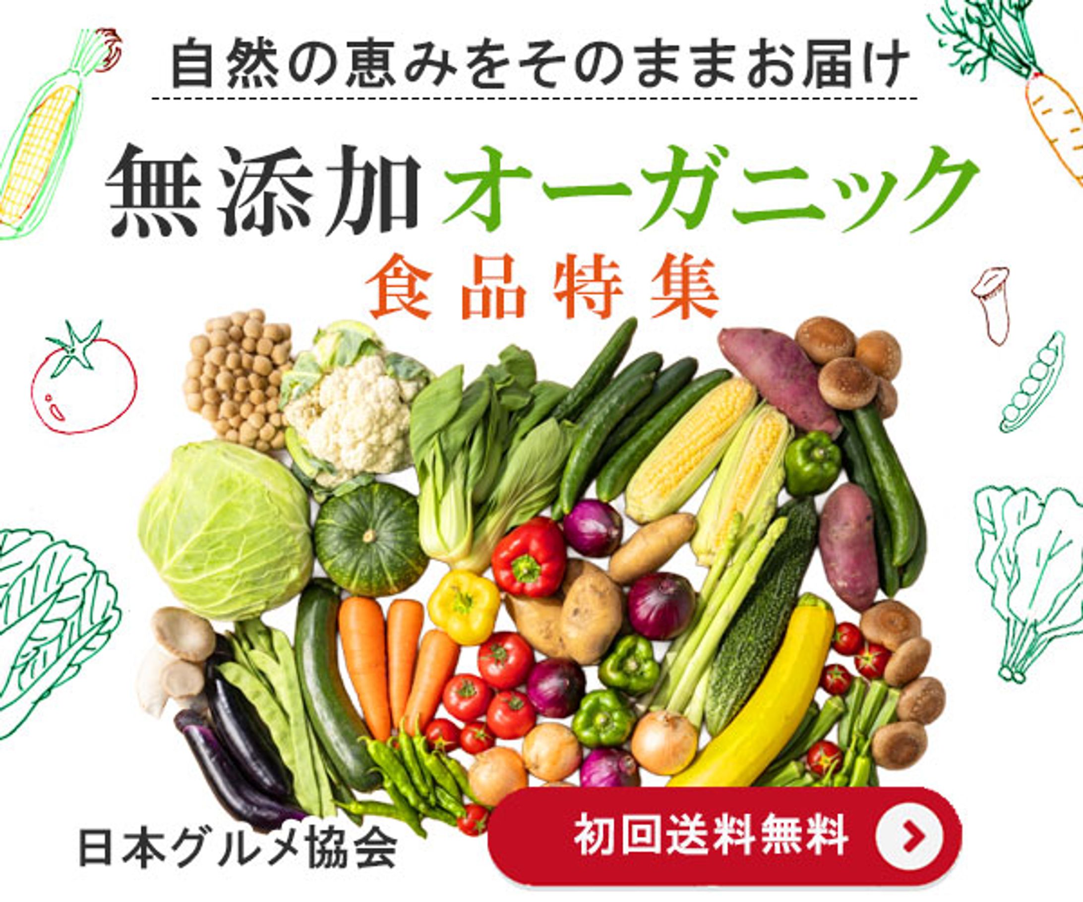 オーガニック特集バナー-1