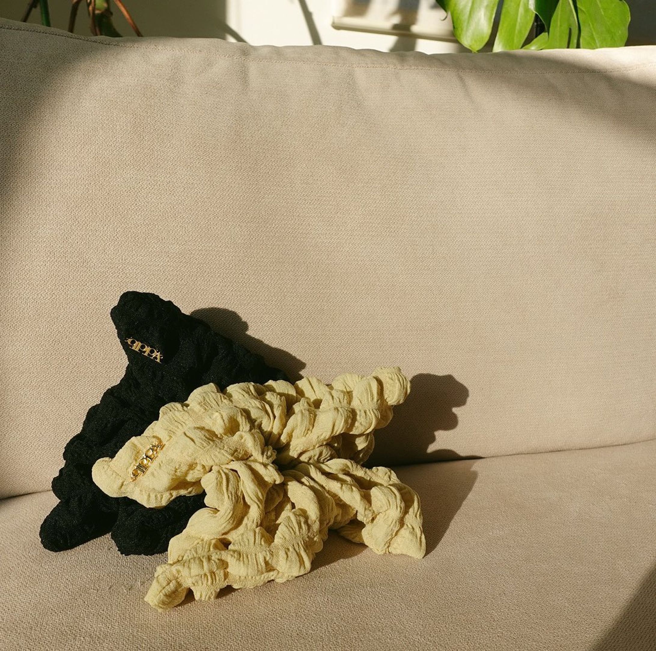 new【square big chouchou】popcornknit🍿

人気のスクエアBIGシュシュに新しいデザインが仲間入り致しました。

スクエアBIGシュシュは、いつも通り1つに結ぶだけでカンタン華やかになるので

⚪︎いつも1つ結びになりがち。
⚪︎ヘアセットが苦手...

という方におすすめです。

#ヘアセット #不器用ヘアアレンジ #スクエアシュシュ #シュシュ #ぷくぷく生地 #キュッパ #新作ヘアアクセサリー #新作 #大人ファッション #ヘアケア #ヘアアクセ-1