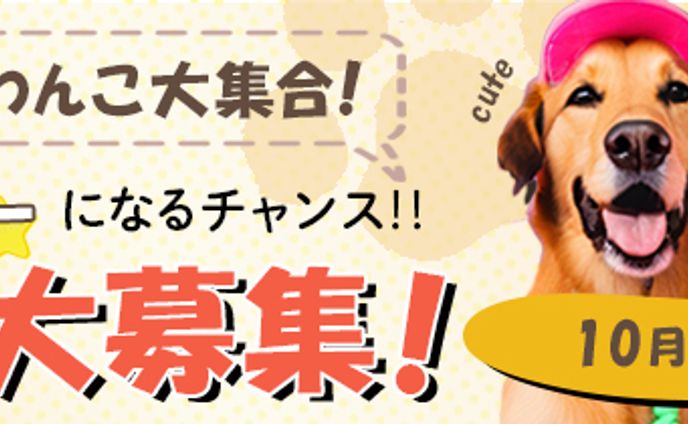 バナー：ドッグフェス