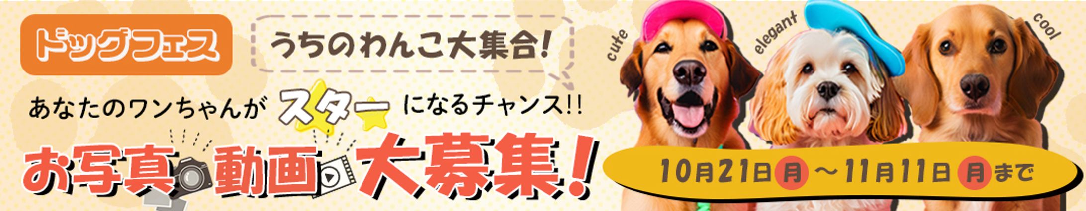 バナー：ドッグフェス-1