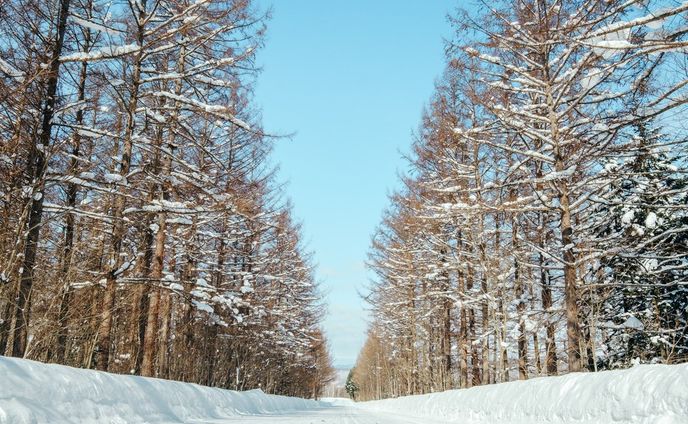 ⠀
【 北海道・上川町での移住生活日記 🏷Vol. 26】

GENICの企画で、上川町の暮らしを綴っていきます❄️
⠀
〰
⠀
1枚目：「大雪 森のガーデン」へ向かう途中の道。両側に並ぶ並木が壮観。

2-8枚目：層雲峡オートキャンプ場にて。雪の中に並ぶテント、かわいい。この日はシーズン最後の営業日だったので、アイス作りやネイル体験などのイベントを開催。営業再開したら、ぜひここでキャンプしたい！

⠀
#KAMIKAWORK
#genic_japan
#プチ移住
#北海道移住
⠀
#北海道
#上川町
#層雲峡

#hokkaido #hokkaidosgram #ひみつの絶景北海道 #行き先は北海道 #홋카이도 #홋카이도여행 #hibi_jp #todays_blue_collection #冬の北海道 #北海道の冬 #tokyocameraclub #naturelovers