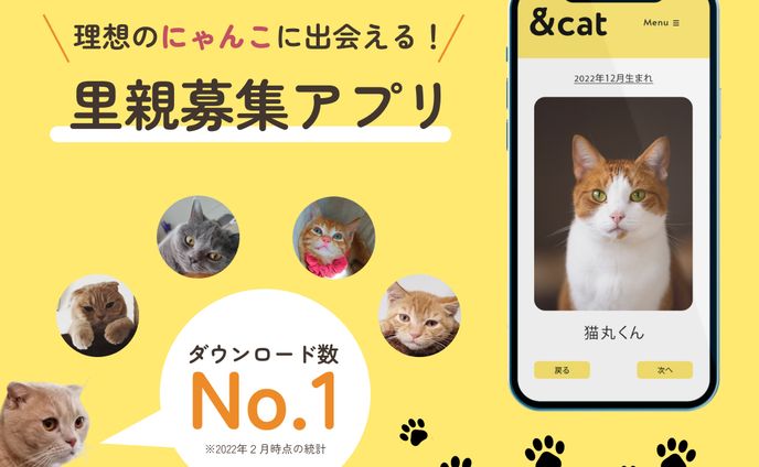 【インスタ用】里親募集アプリ
