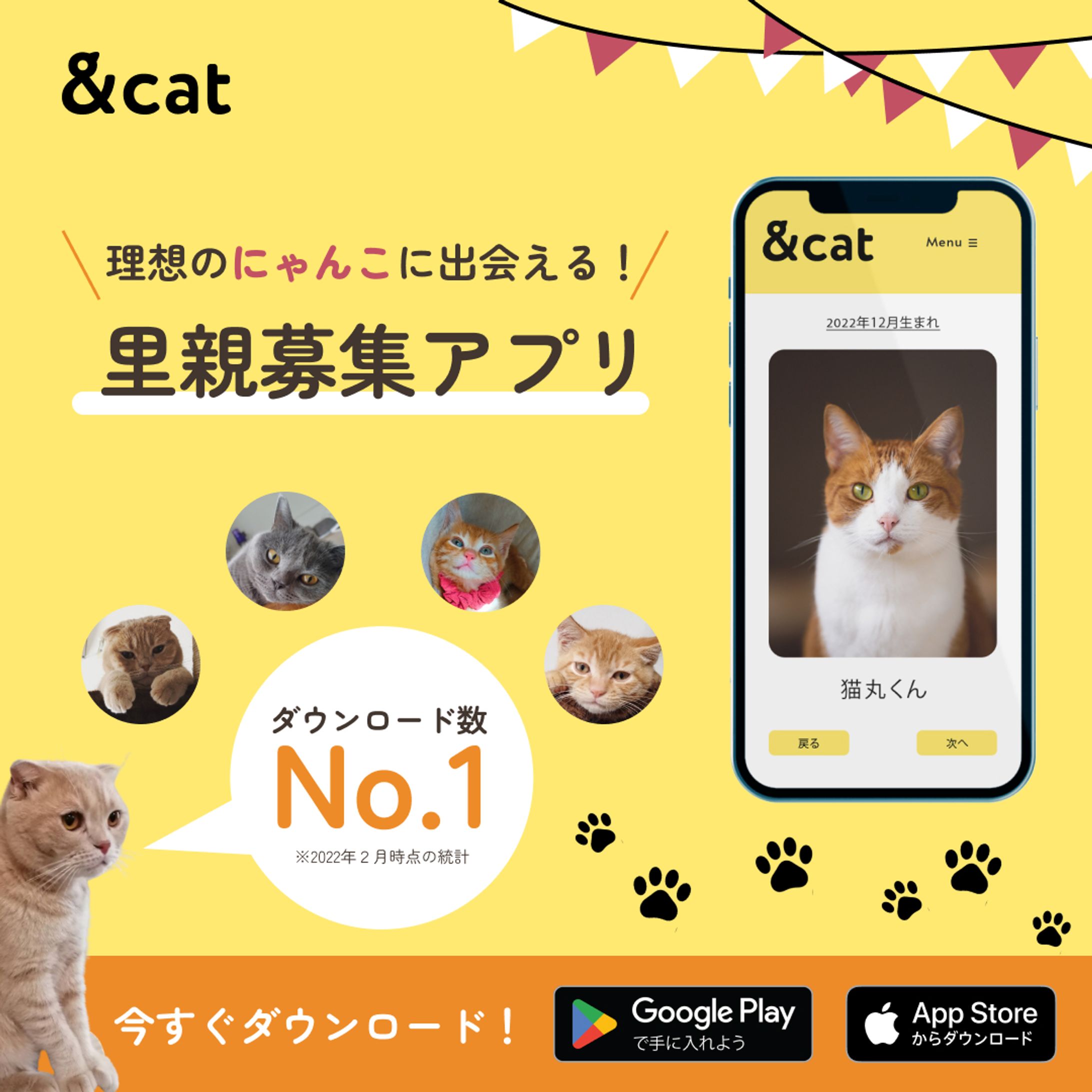 【インスタ用】里親募集アプリ-1