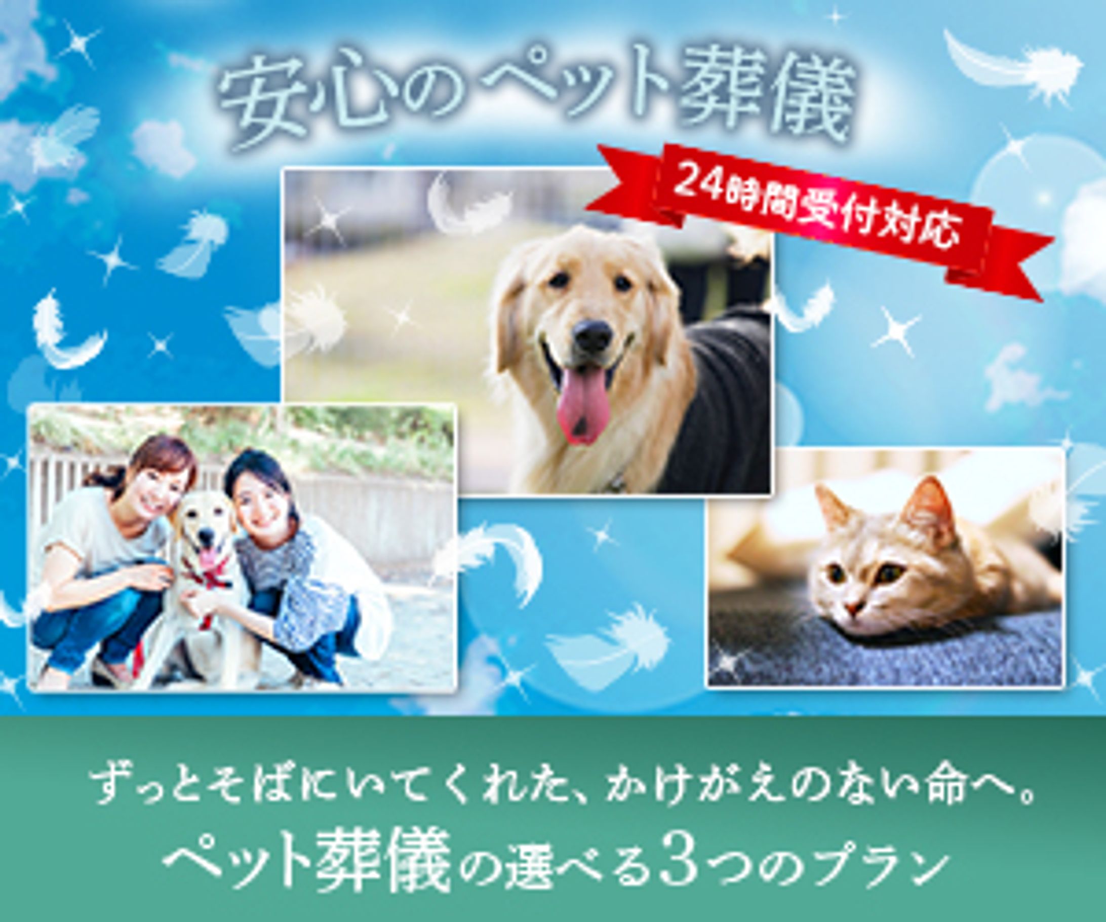 バナー ペット葬儀（架空）-1