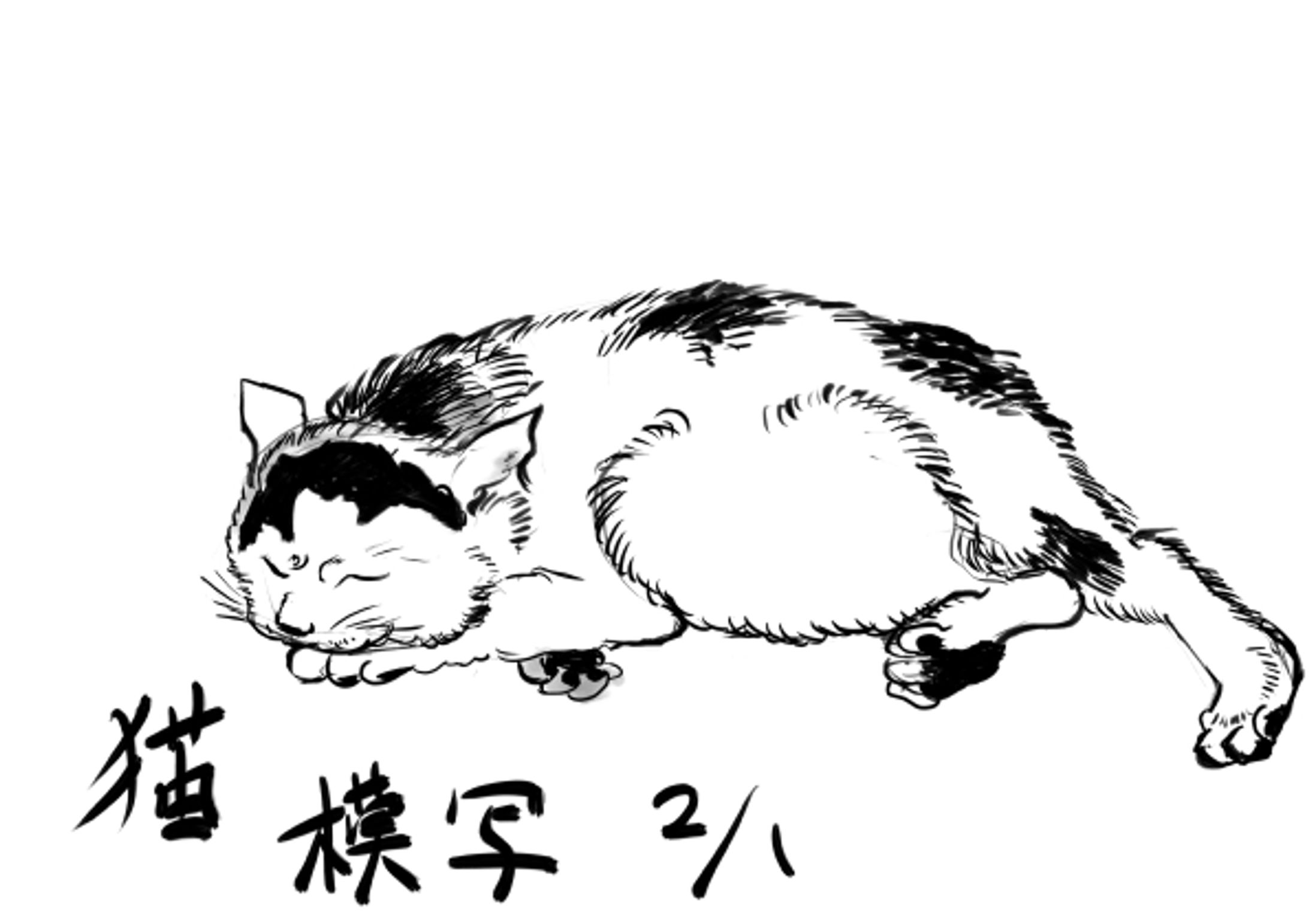 猫（模写）-1