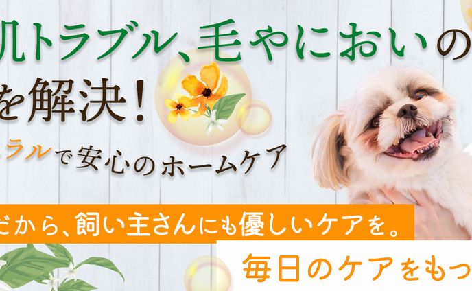 LPファーストビュー(ペット用品)