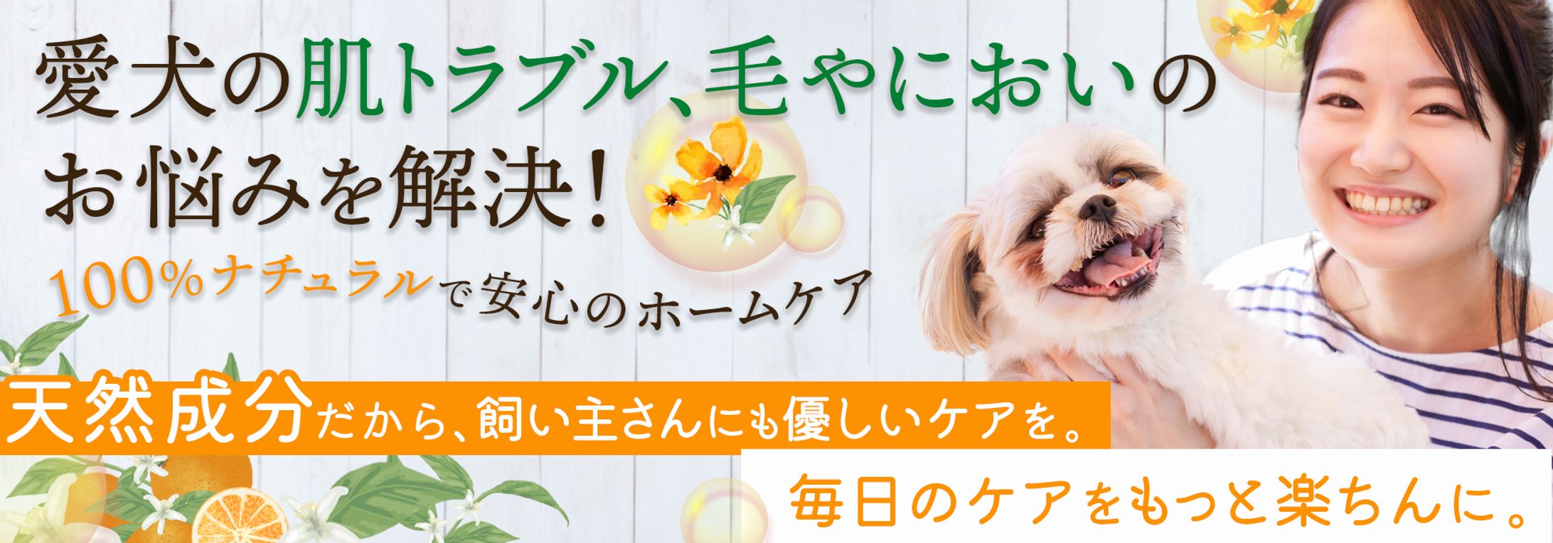 LPファーストビュー(ペット用品)-1