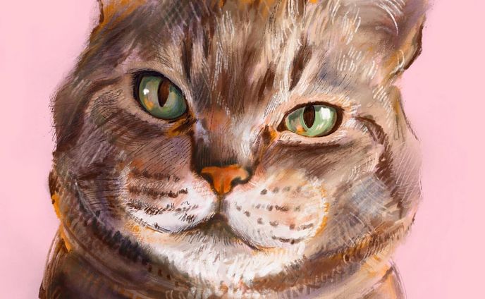 茶トラちゃんを描かせていただきました。

#イラストレーション #イラスト #illustration #ilovemycat #ねこすたぐらむ #catillustration  #catart  #絵画 #artlover  #ねこ好きさんと繋がりたい #にゃんこ部  #おしゃれさんと繋がりたい  #猫好きな人と繋がりたい  #にゃんすたぐらむ  #ねこのいる幸せ  #インテリアアート #猫のいる暮らし #procreate #茶トラ #blackcat #blackcatlove #イラストオーダー #イラスト依頼 #オーダー #有償依頼 #似顔絵オーダー #似顔絵イラスト #ペット似顔絵 #うちのこ