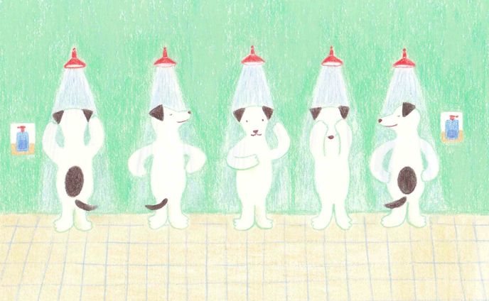 Shower  room